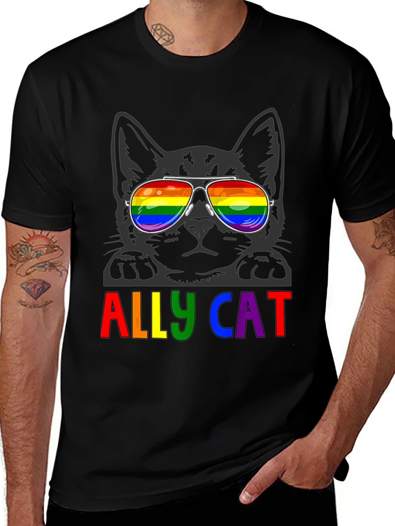 Variant 3 of Ally Cat LGBTQ+ Pride T-Shirt