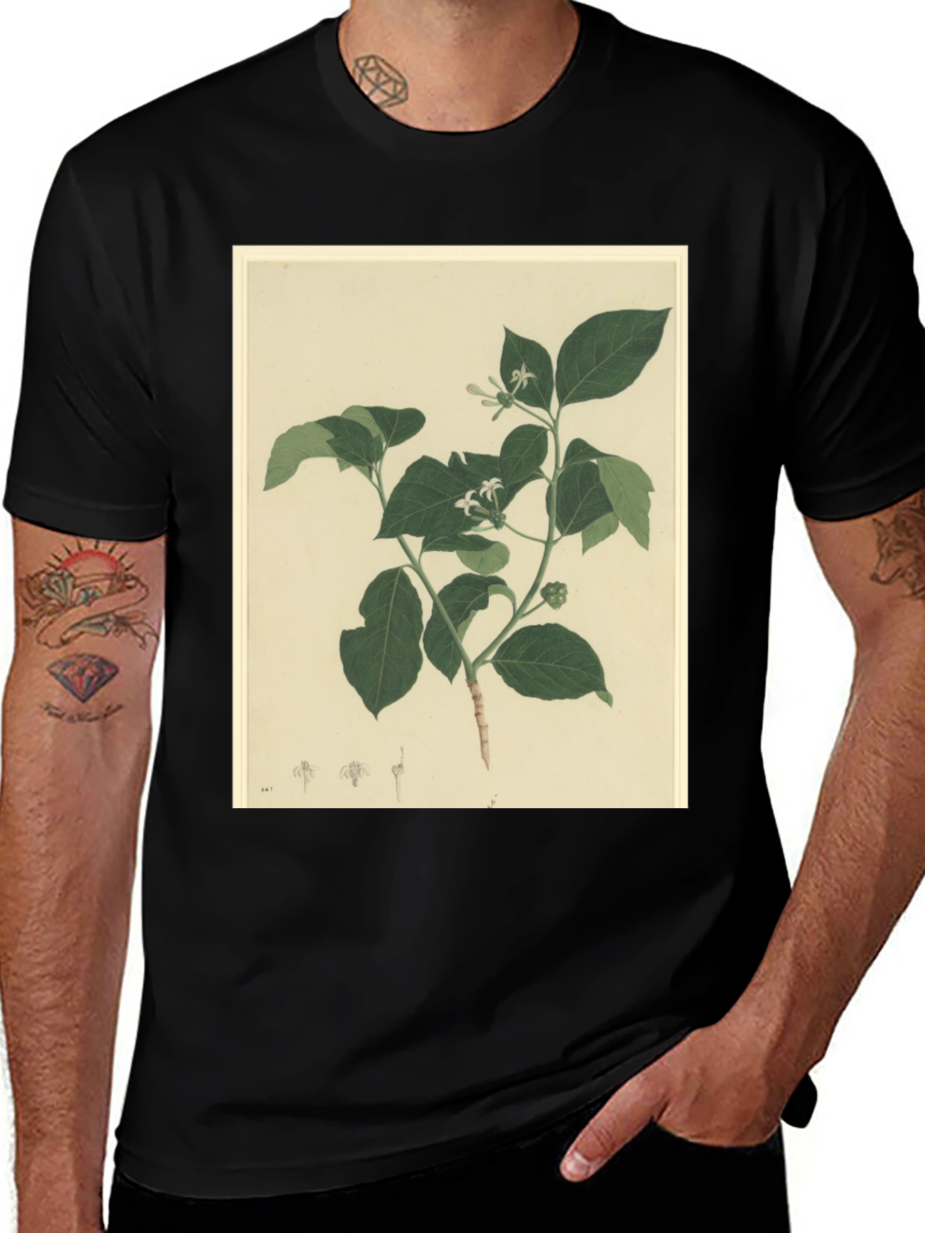 Black Botanical Print Black T-Shirt main image