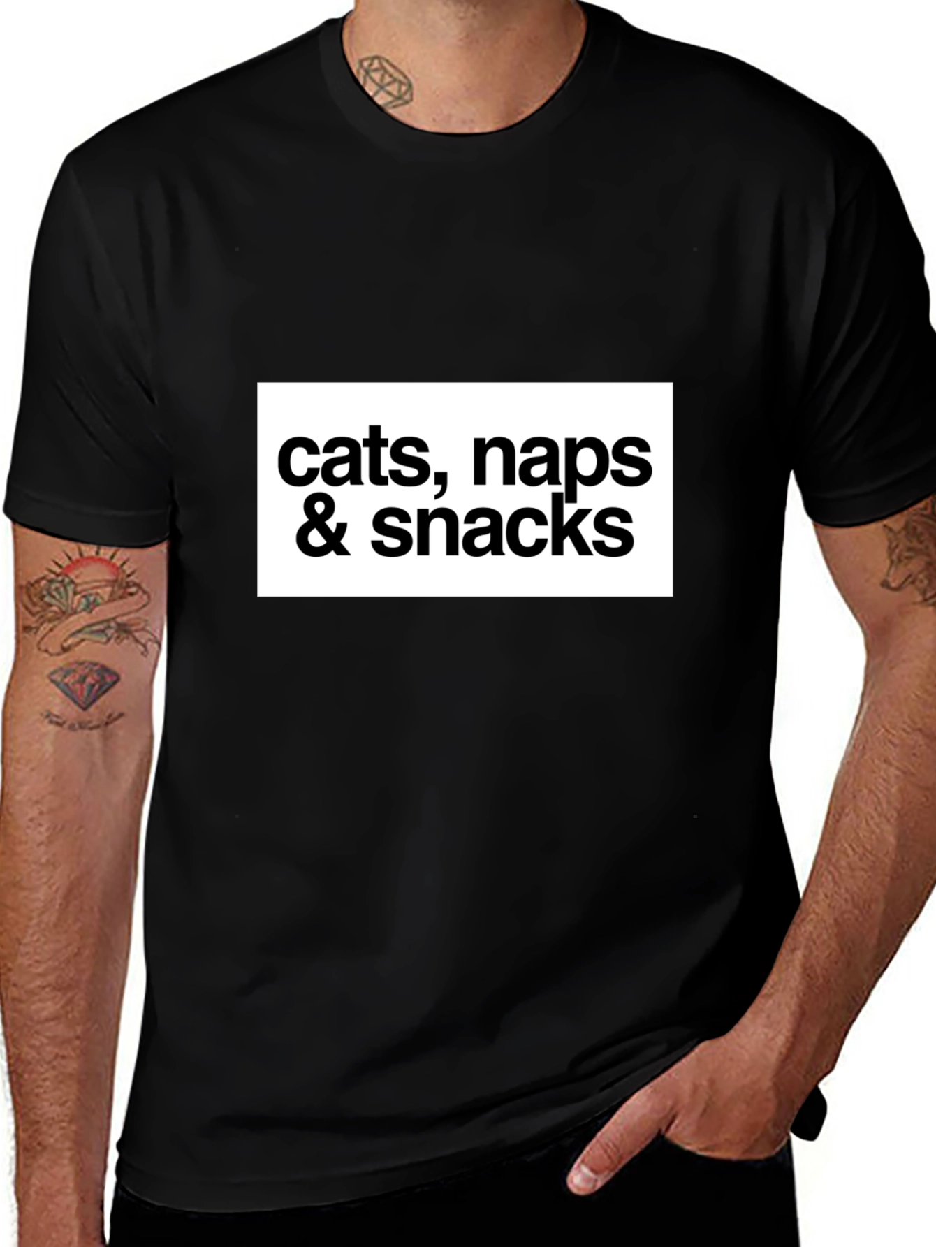 Cats Naps and Snacks T-Shirt