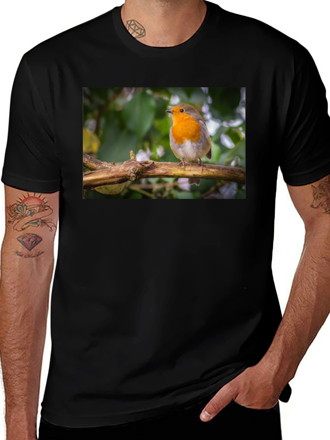 Variant 11 of Robin Bird Black T-Shirt Nature Lover Gift