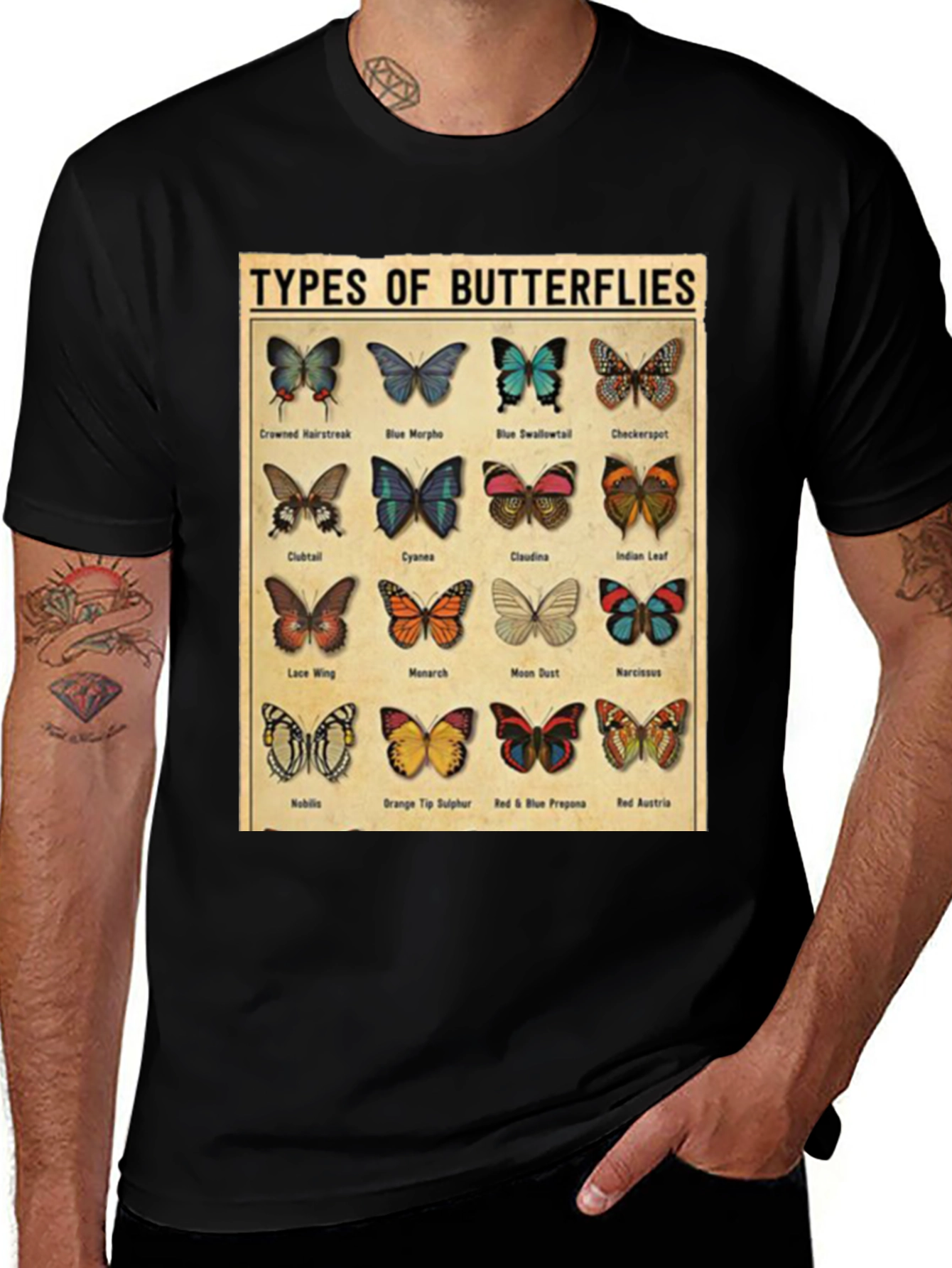 Black Butterfly Types Graphic T-Shirt main image
