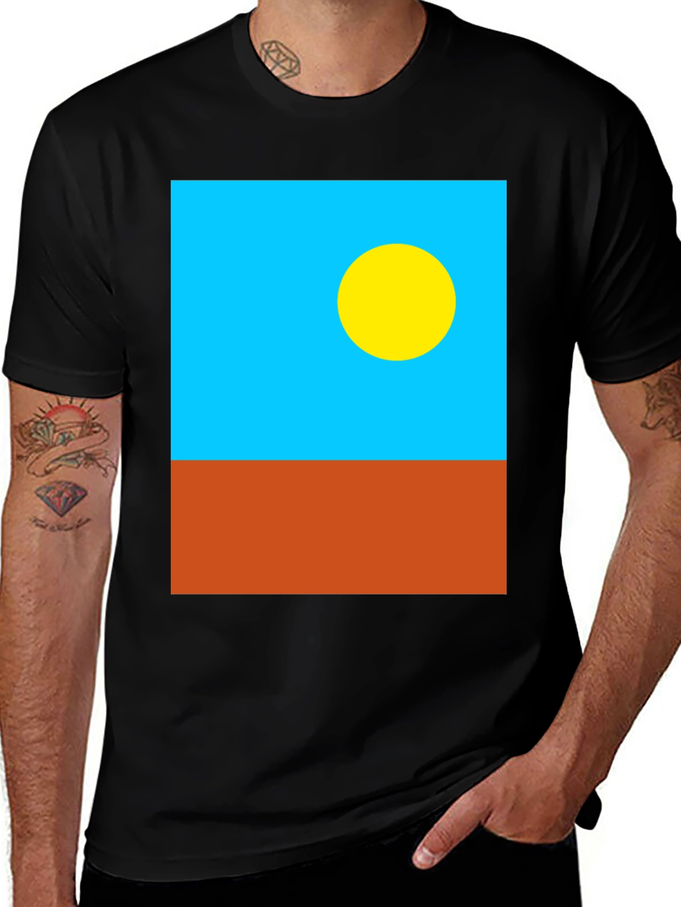 Palau Flag Graphic T-Shirt - Black Cotton Tee