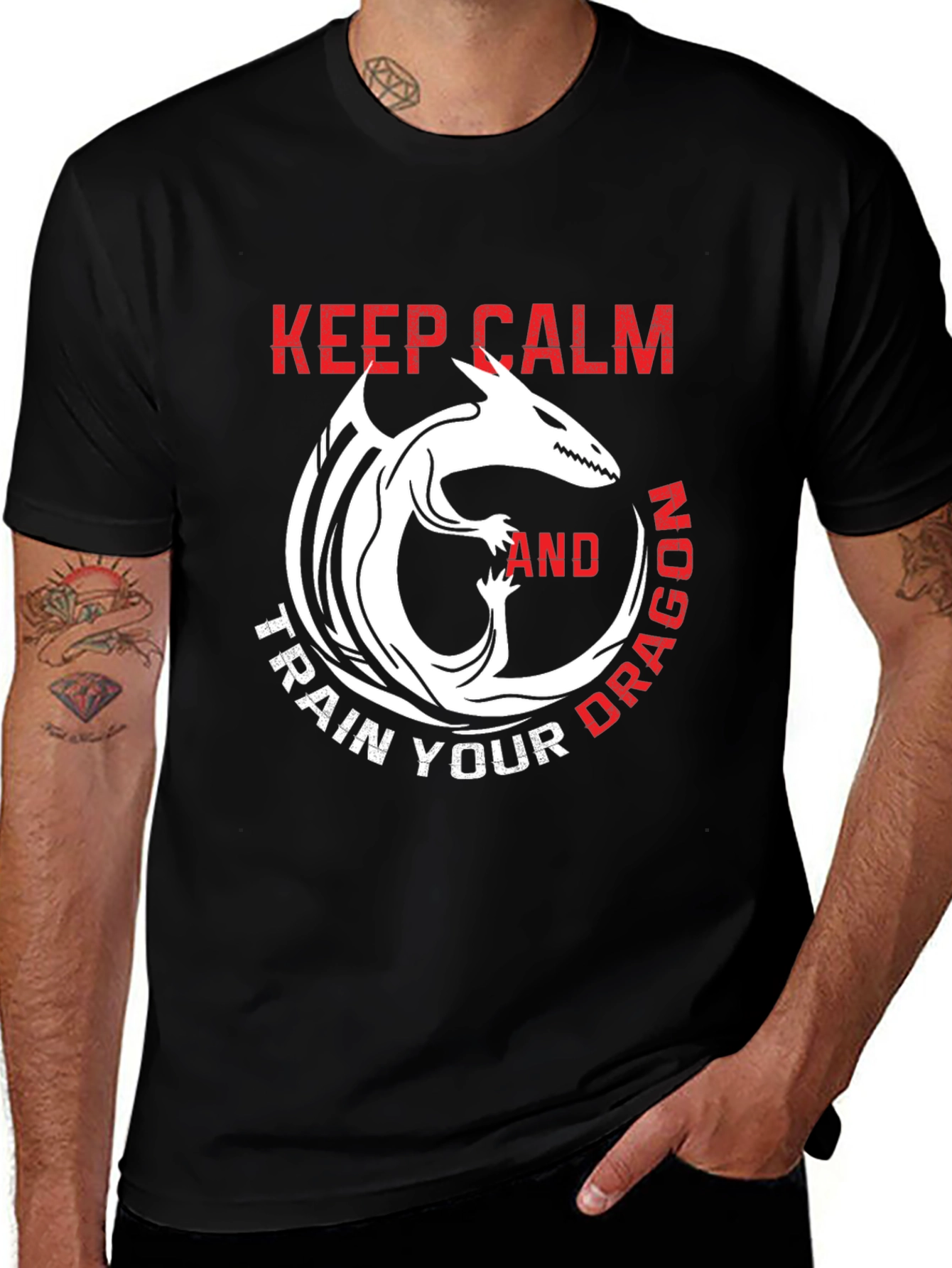 Variant 20 of Keep Calm and Train Your Dragon T-Shirt