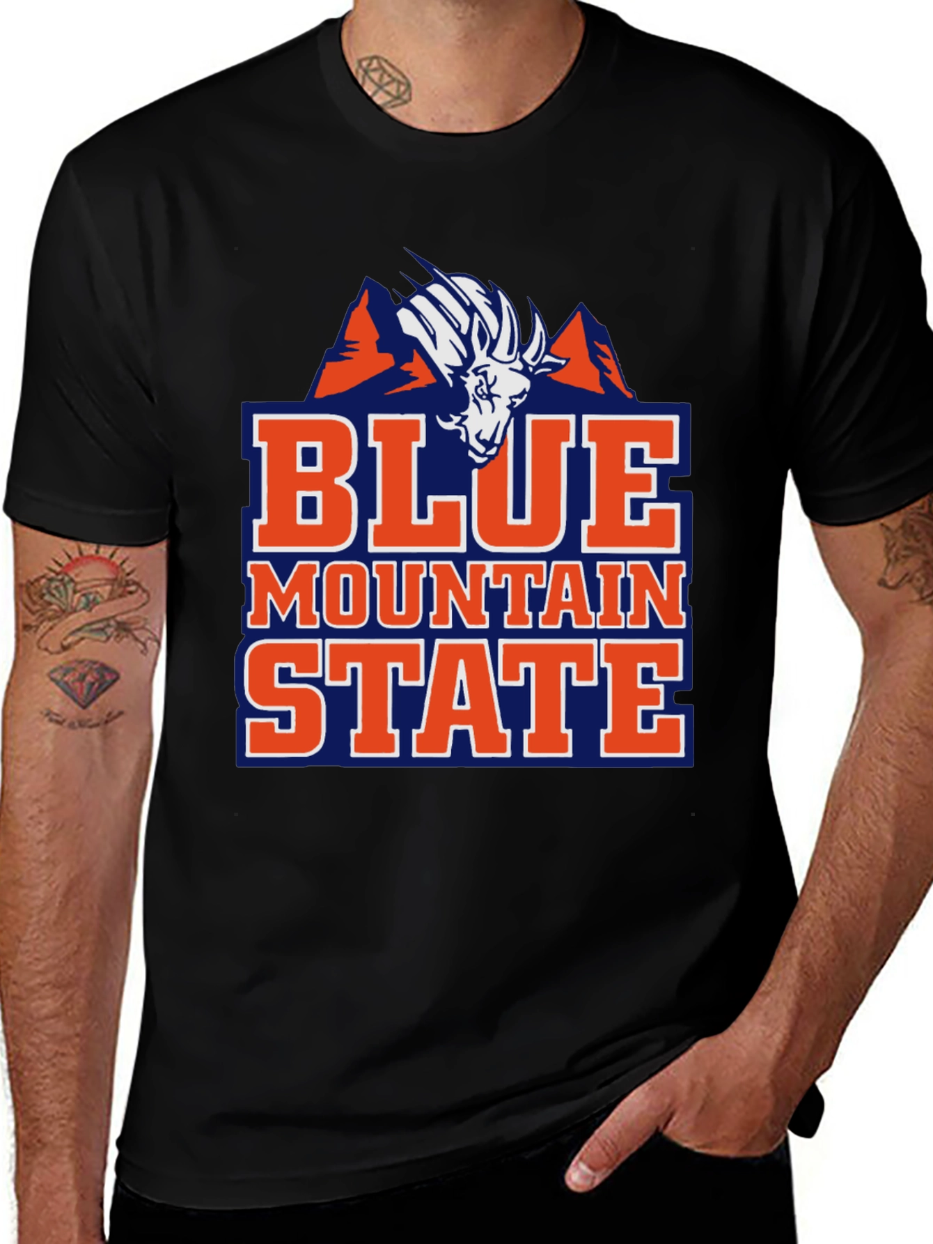 Blue Mountain State T-Shirt Funny BMS College Tee