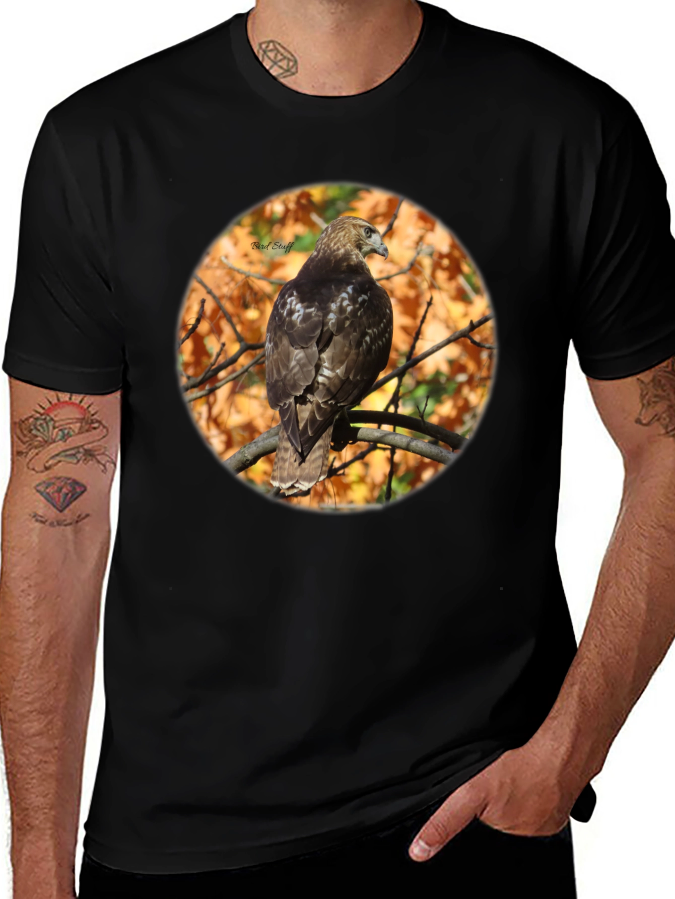 Variant 5 of Hawk on Branch Graphic Tee