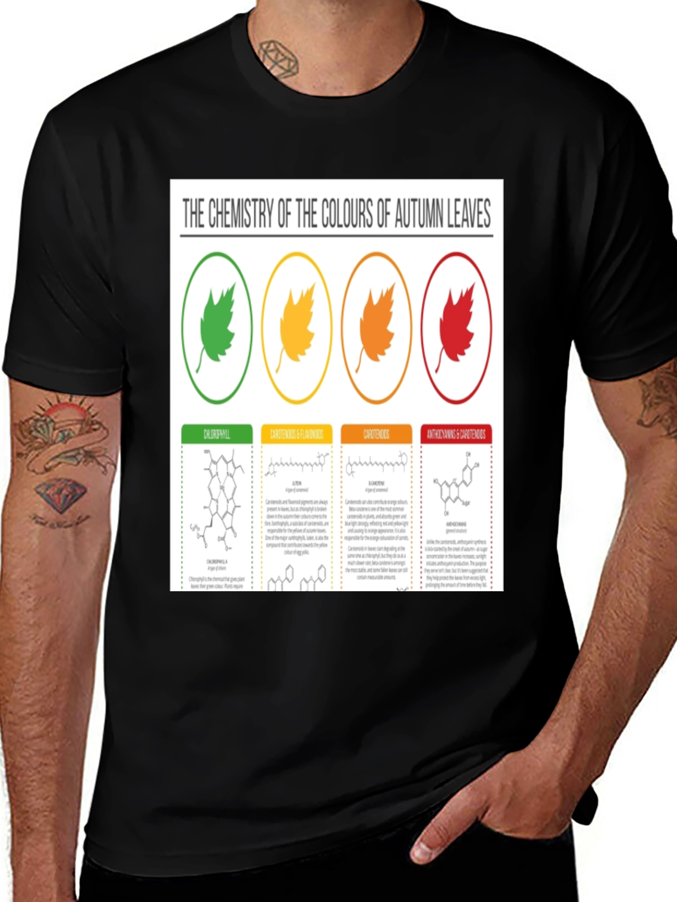 Variant 6 of Autumn Leaves Chemistry Graphic Tee
