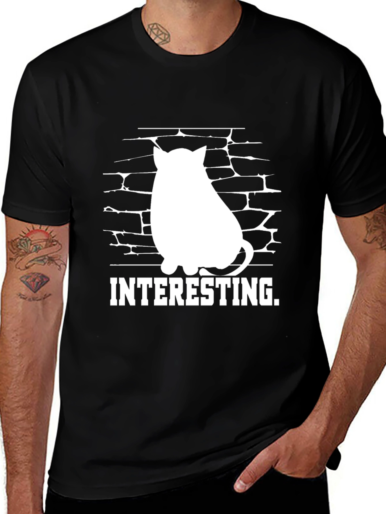 Interesting Cat Brick Wall T-Shirt