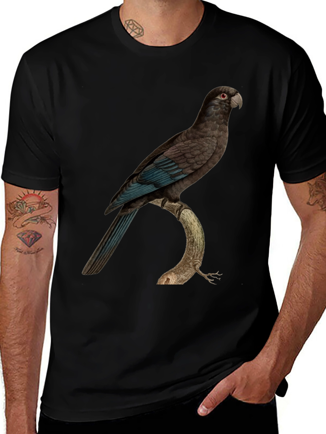 Variant 21 of Parrot Graphic Print Black T-Shirt