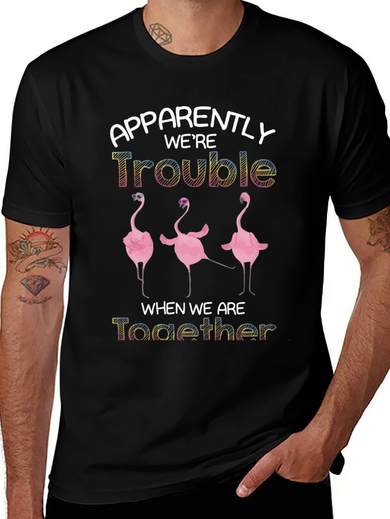 Variant 18 of Apparently We're Trouble Flamingo T-Shirt