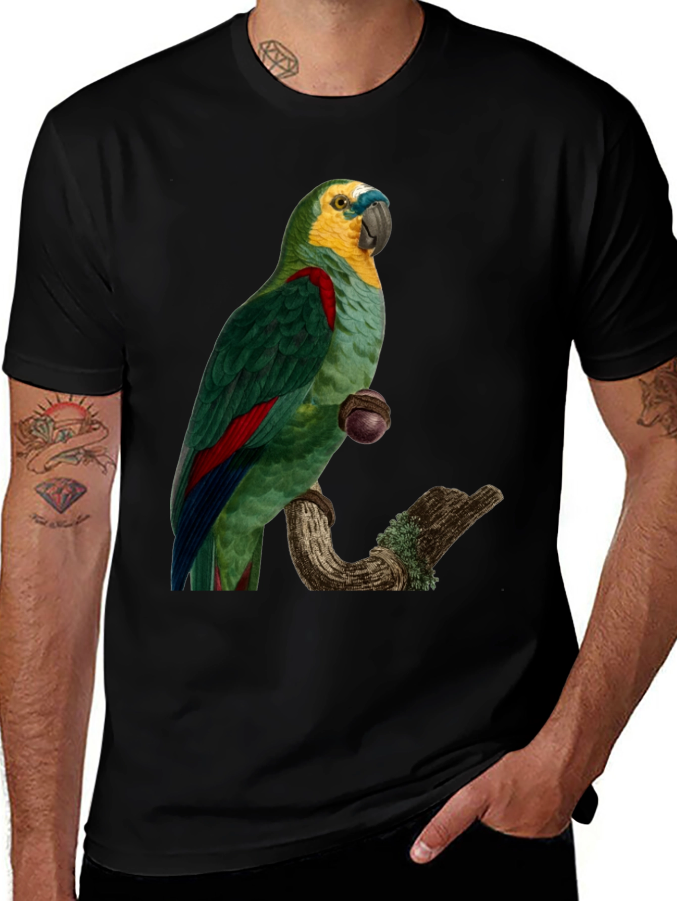 Parrot Graphic Print T-Shirt