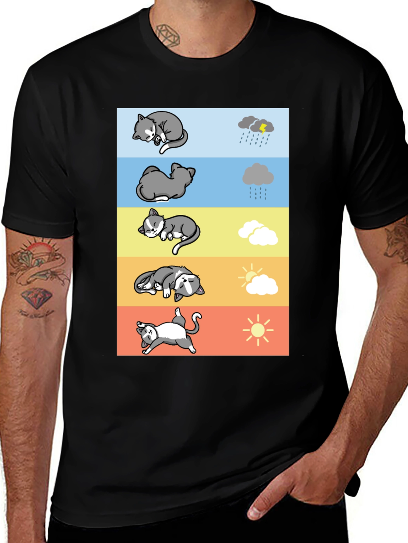 Variant 24 of Cat Moods T-Shirt - Weather Themed