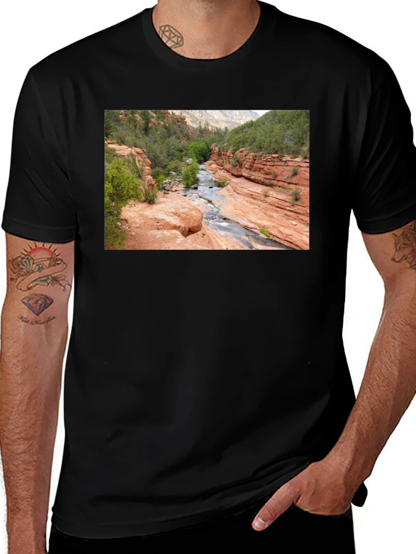 Scenic River Canyon Graphic T-Shirt