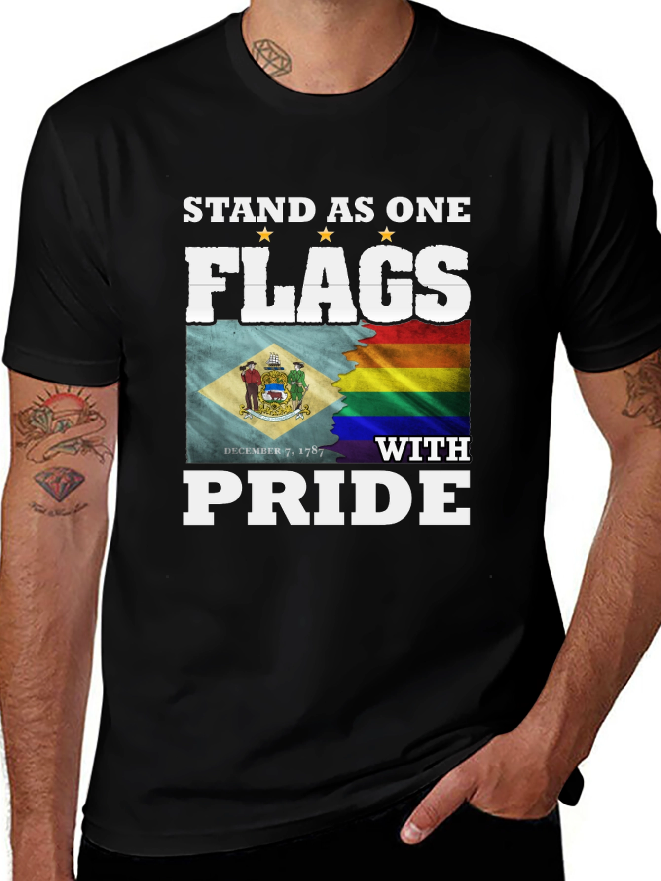 Stand As One Flags T-Shirt Pride LGBT Delaware Flag