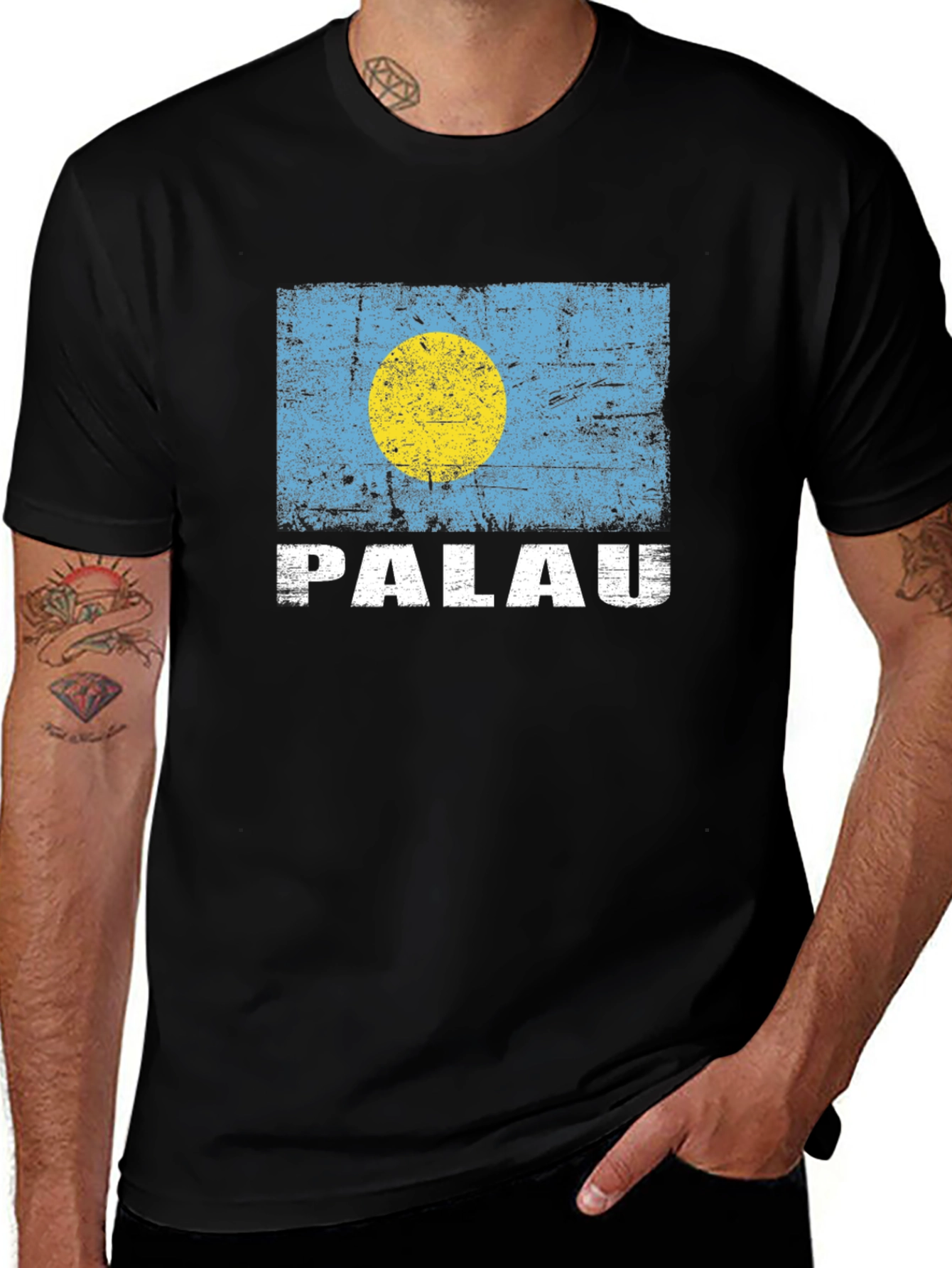 Palau Flag T-Shirt - Distressed Design
