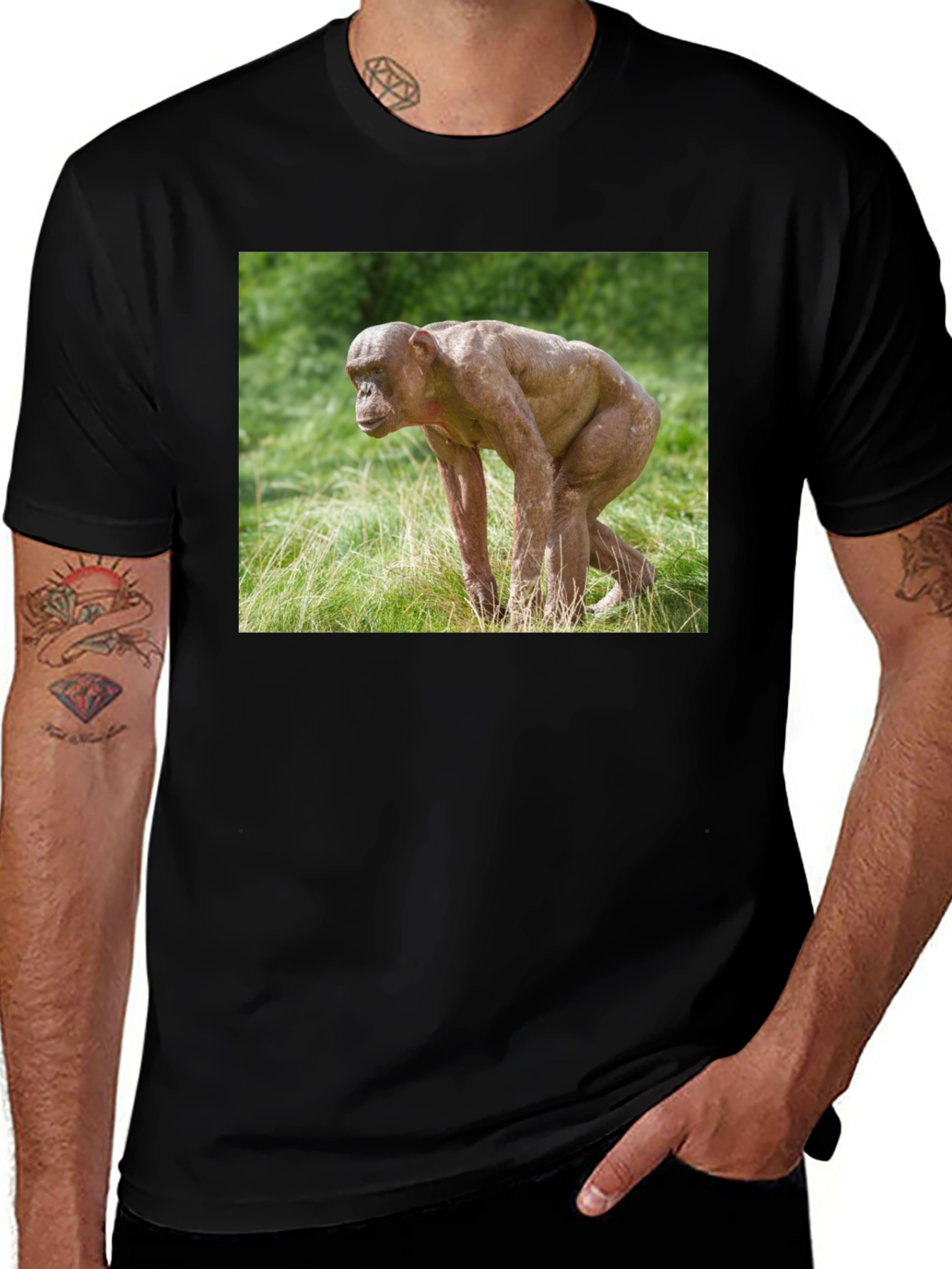 Variant 20 of Ape T-Shirt - Unique Animal Design Tee