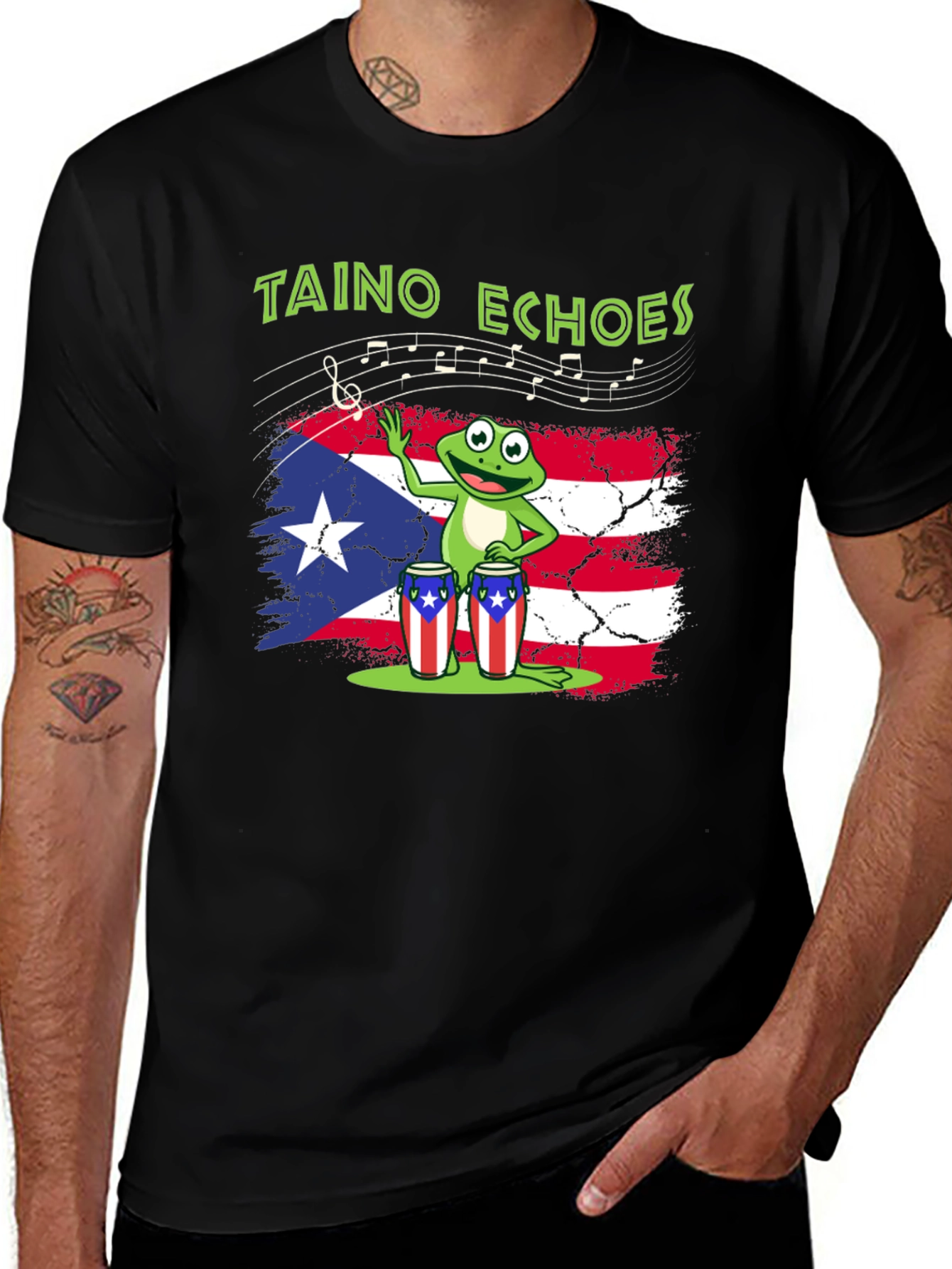 Taino Echoes Frog Puerto Rico Flag T-Shirt