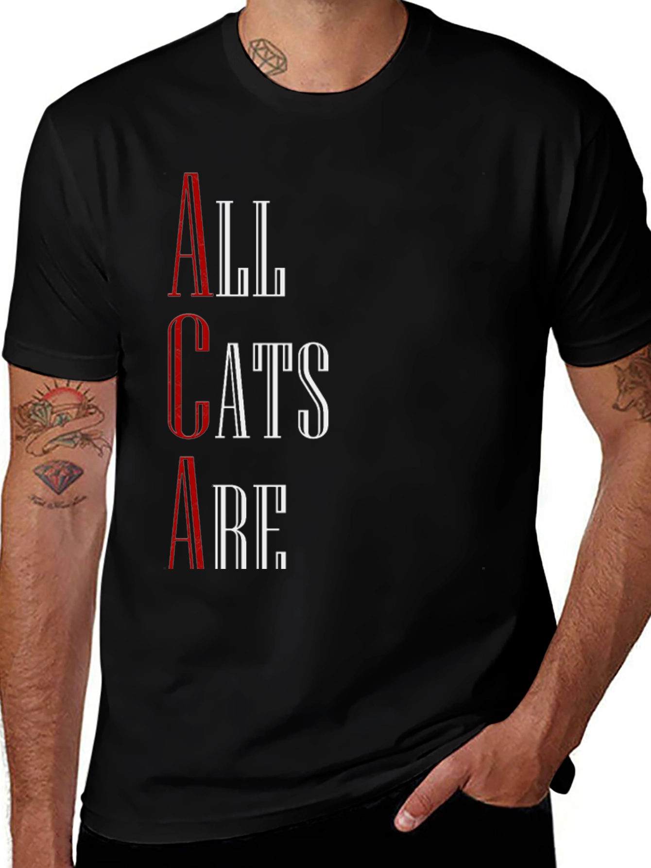 Variant 9 of All Cats Are T-Shirt - Black Graphic Tee