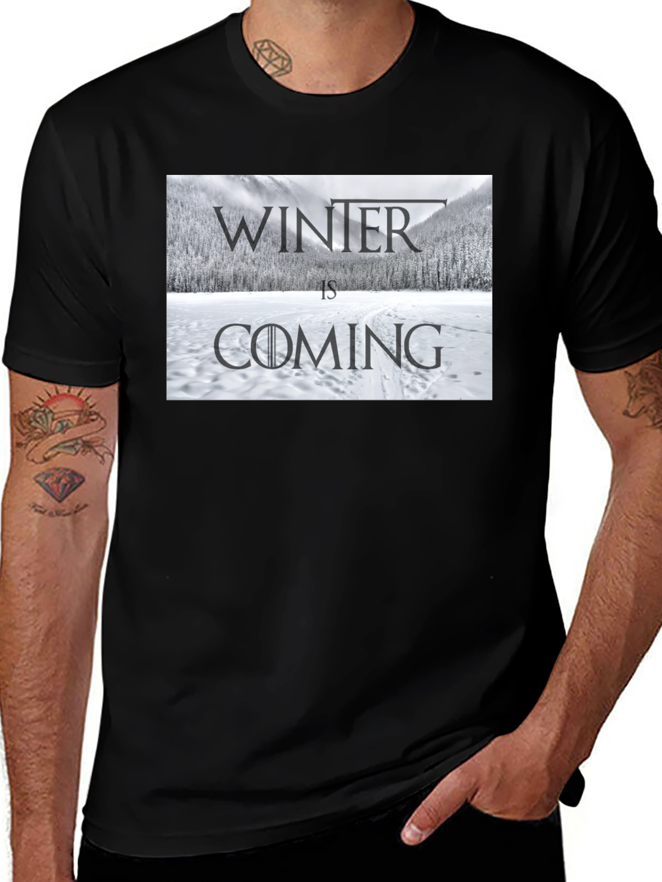 Variant 21 of Winter is Coming T-Shirt - Game of Thrones Inspired