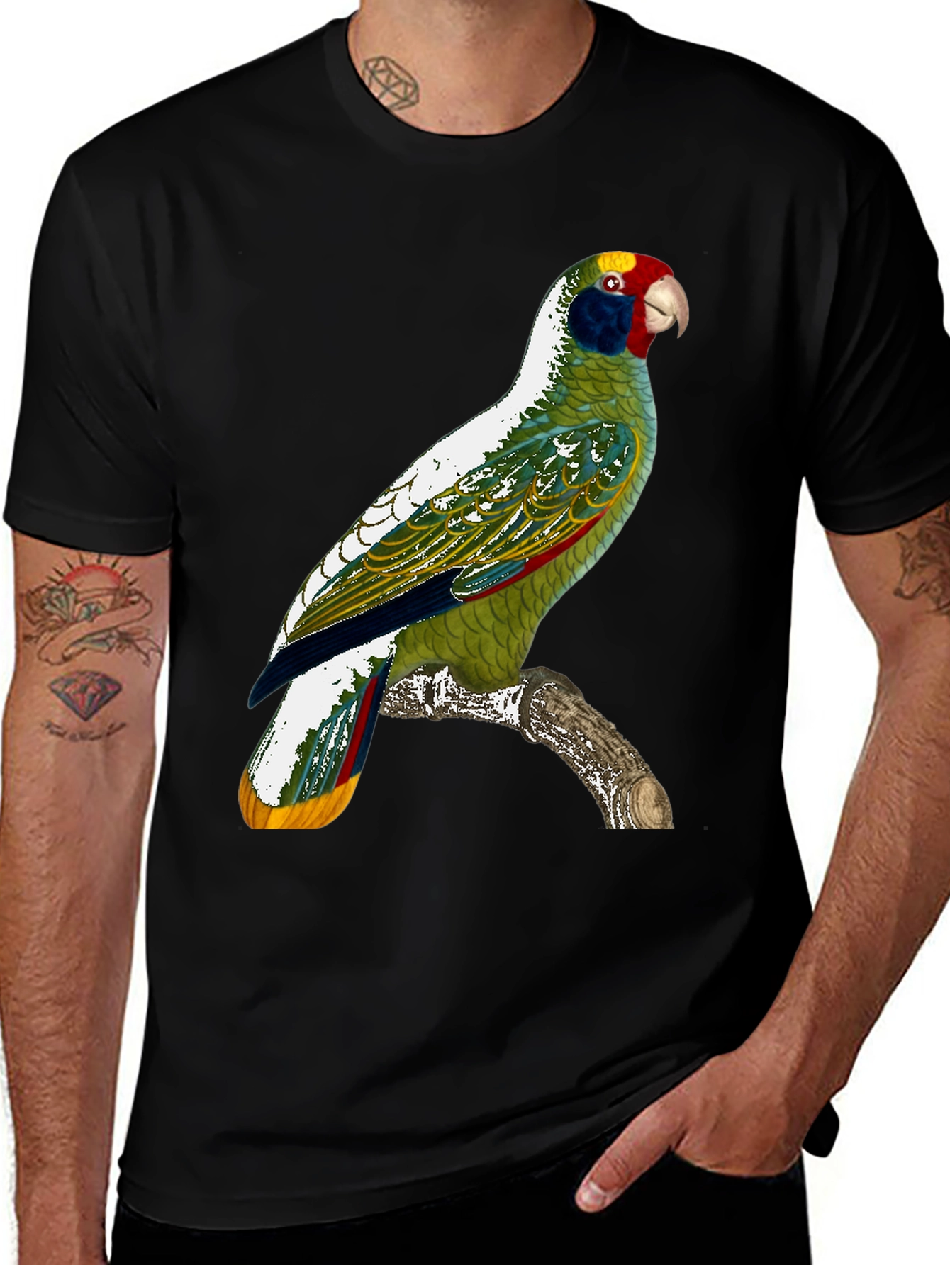 Variant 8 of Parrot Graphic T-Shirt - Tropical Bird Tee
