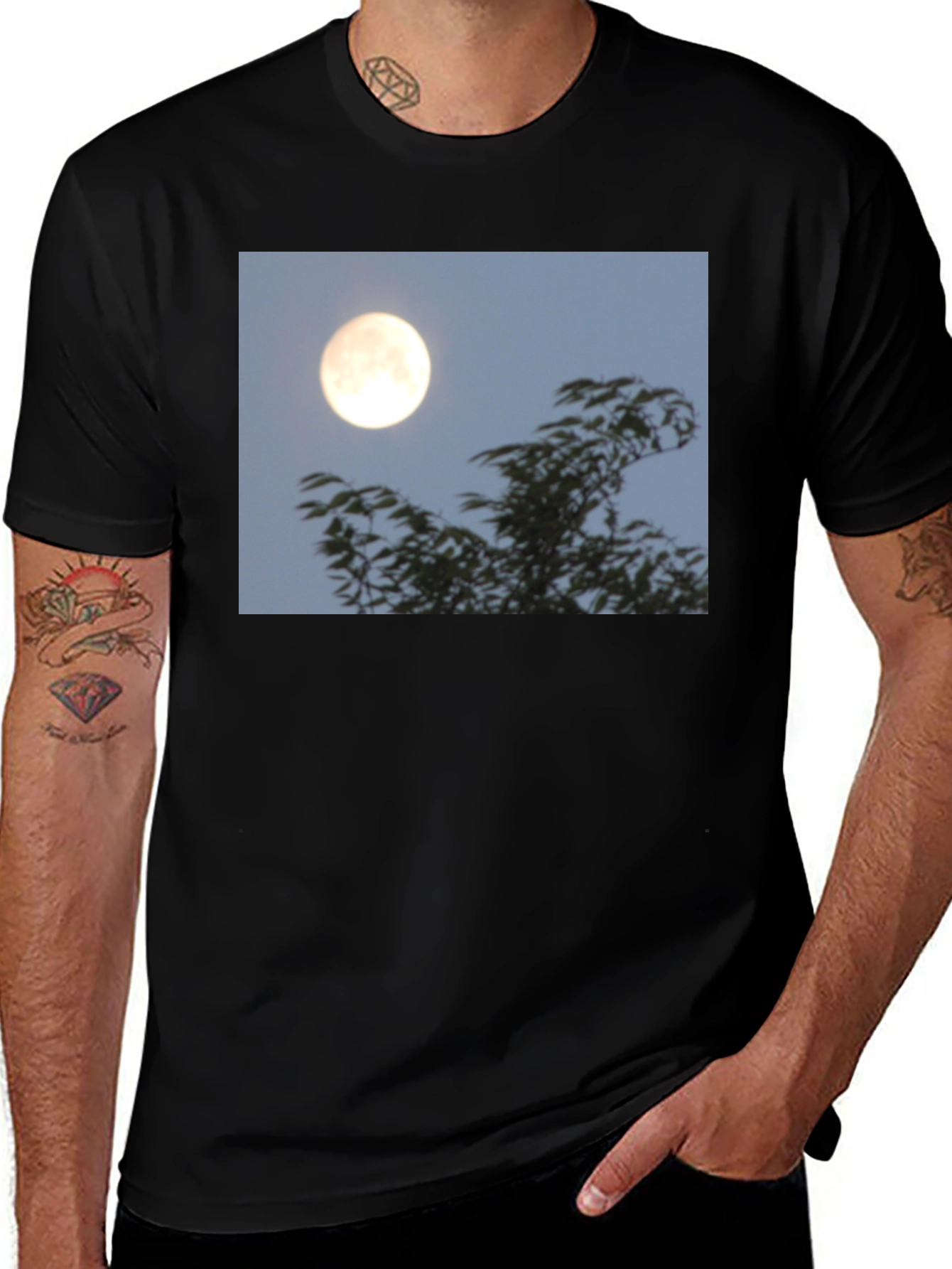 Variant 21 of Moonlit Trees Graphic Tee - Black Cotton T-Shirt