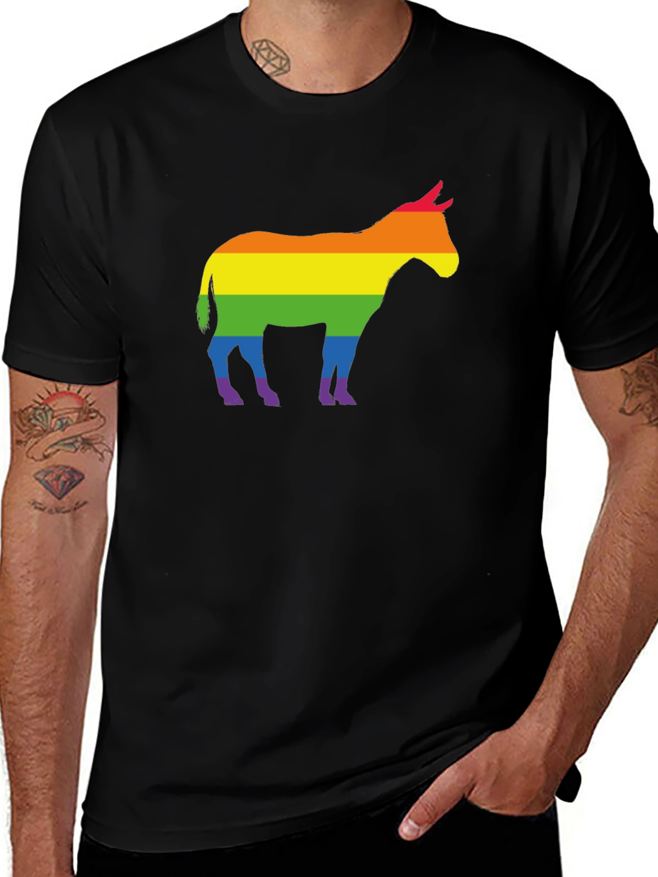 Variant 30 of Rainbow Donkey Graphic Tee