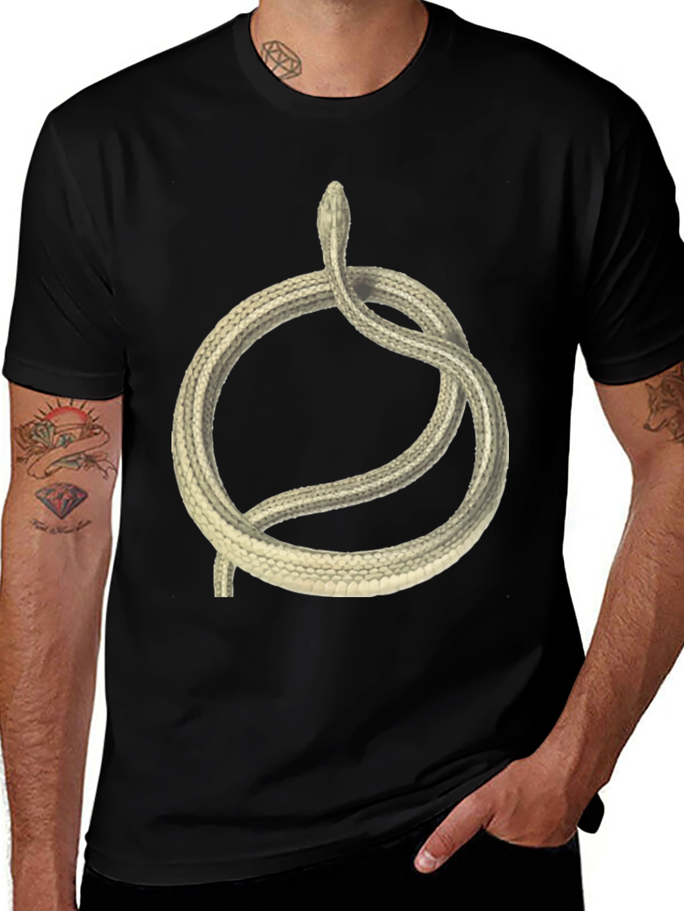 Variant 13 of Snake Circle Graphic T-Shirt - Unique Animal Tee