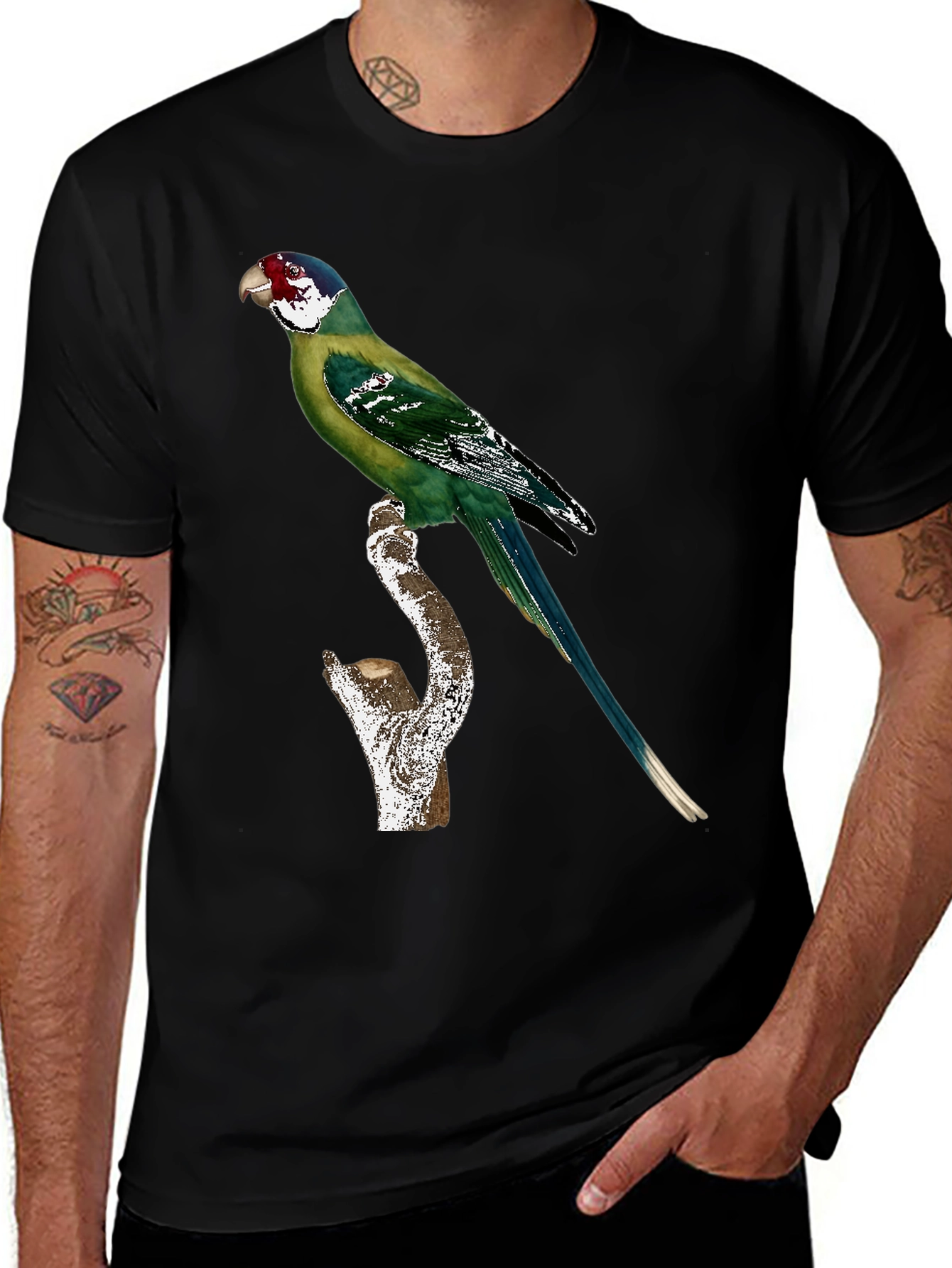 Variant 23 of Parrot Graphic T-Shirt - Unique Bird Design