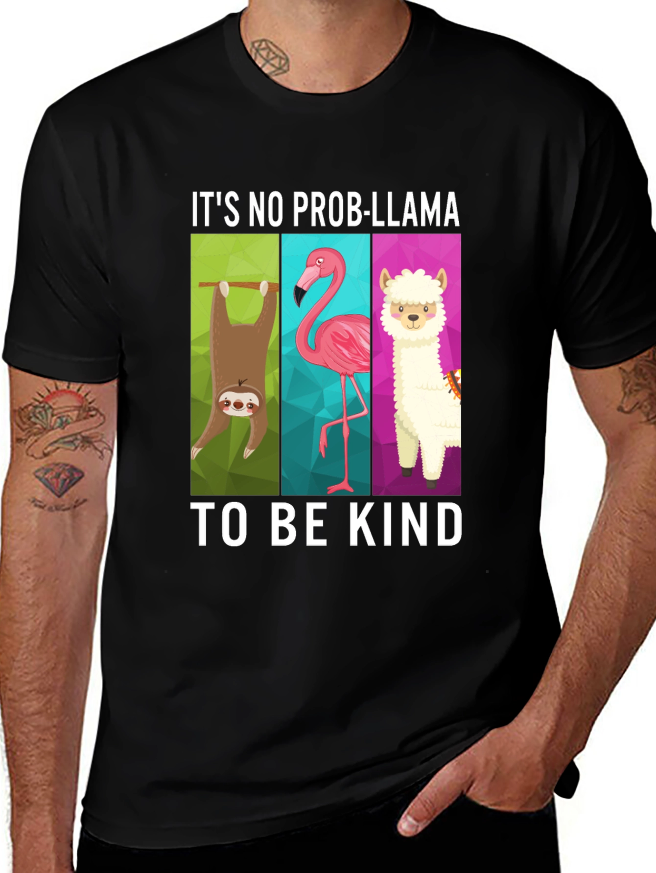 Variant 11 of It's No Prob-Llama Graphic T-Shirt