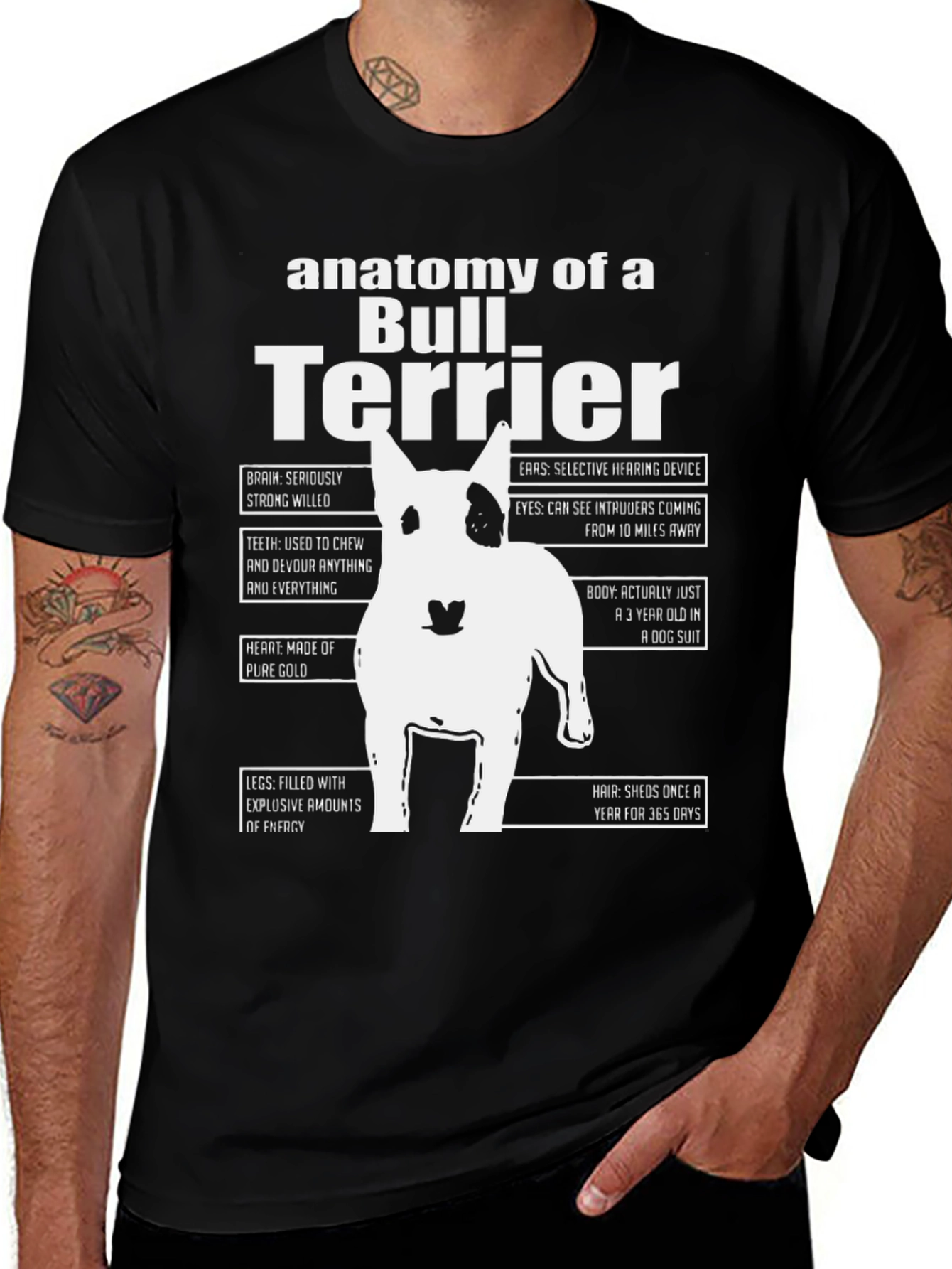 Anatomy of a Bull Terrier Black T-Shirt