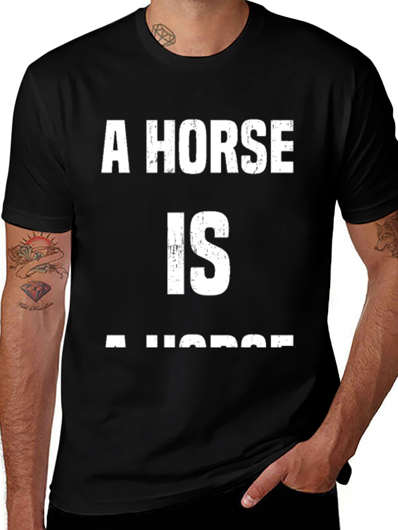 Variant 22 of A Horse Is A Horse T-Shirt - Classic Design