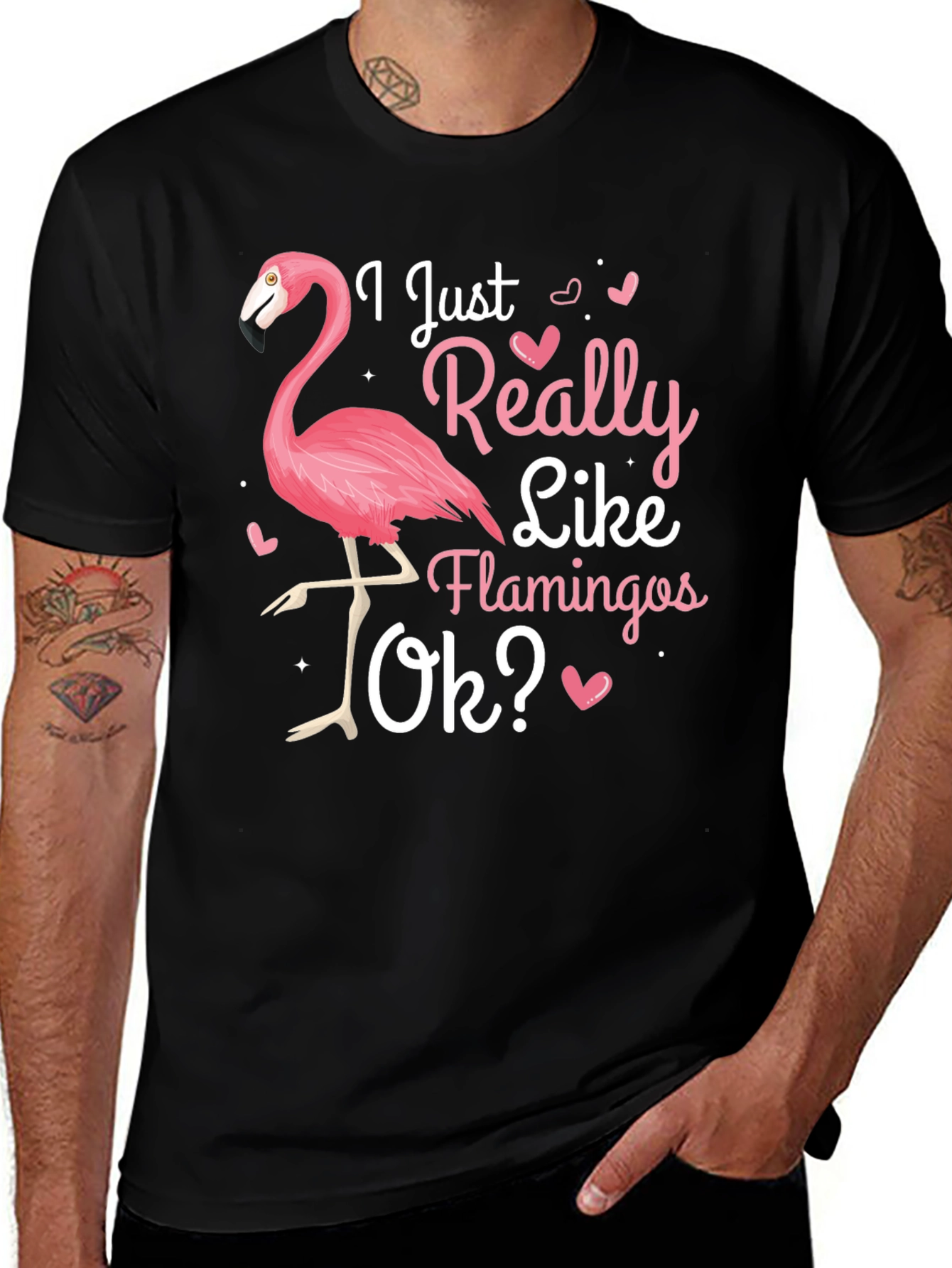Variant 30 of I Just Really Like Flamingos Ok? T-Shirt