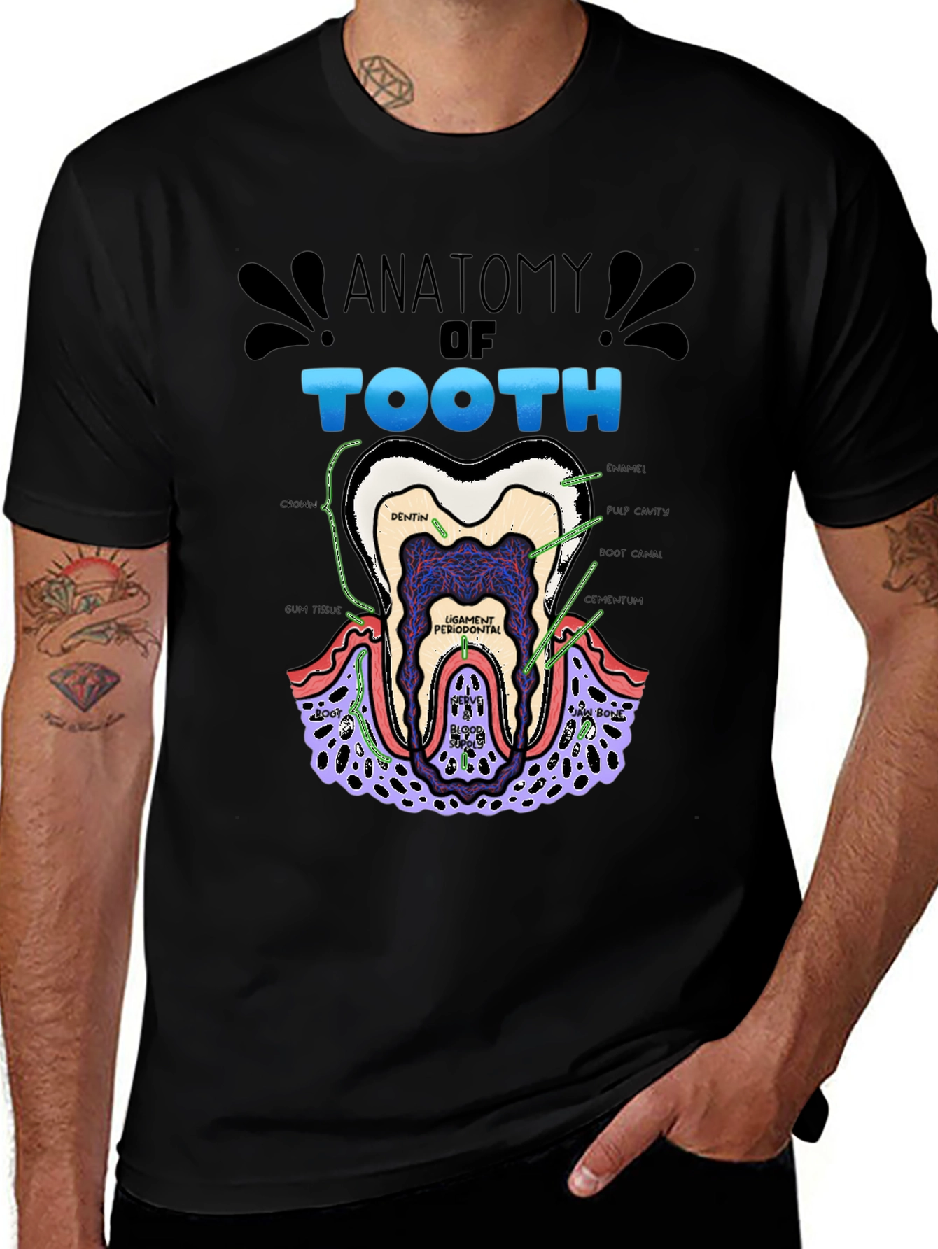 Variant 7 of Anatomy of a Tooth Black T-Shirt