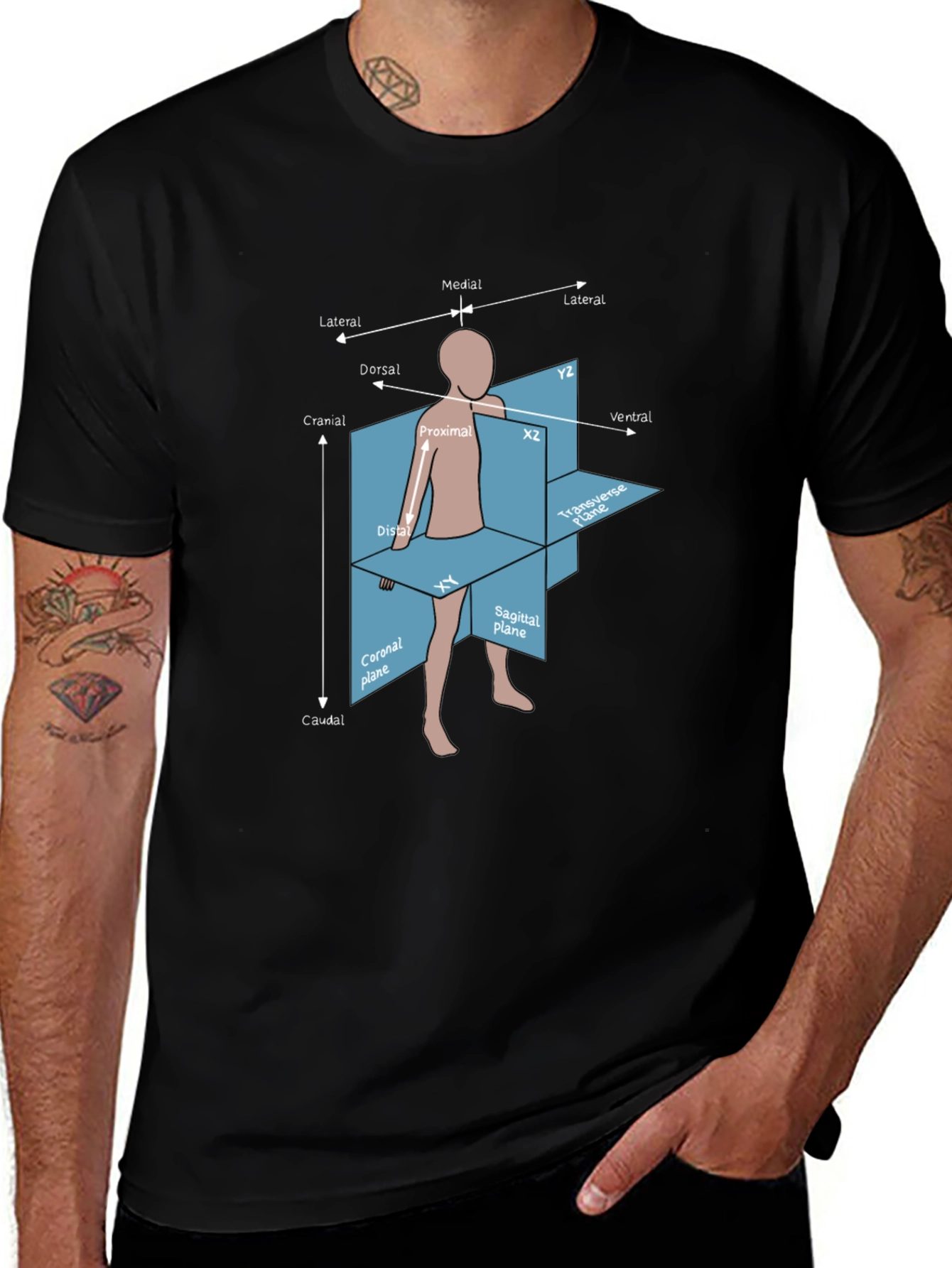 Anatomical Planes T-Shirt - Medical Student Gift