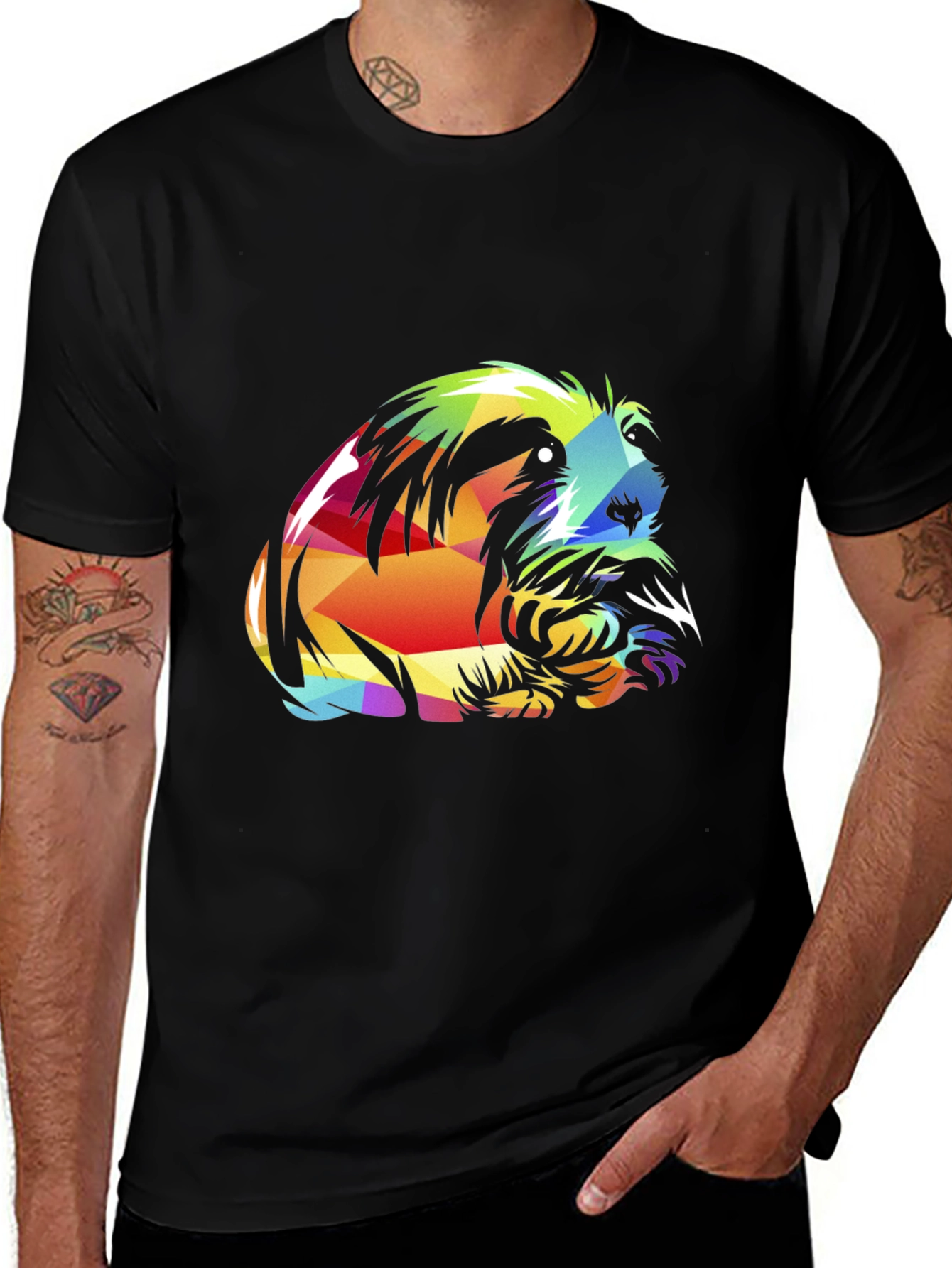 Variant 3 of Colorful Sloth Graphic Tee - Unique Men's T-Shirt