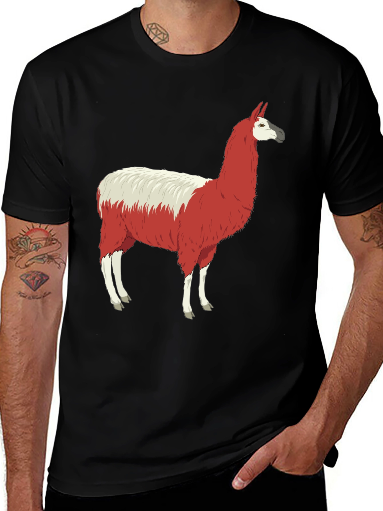 Variant 7 of Llama Graphic Tee - Unique Animal Design