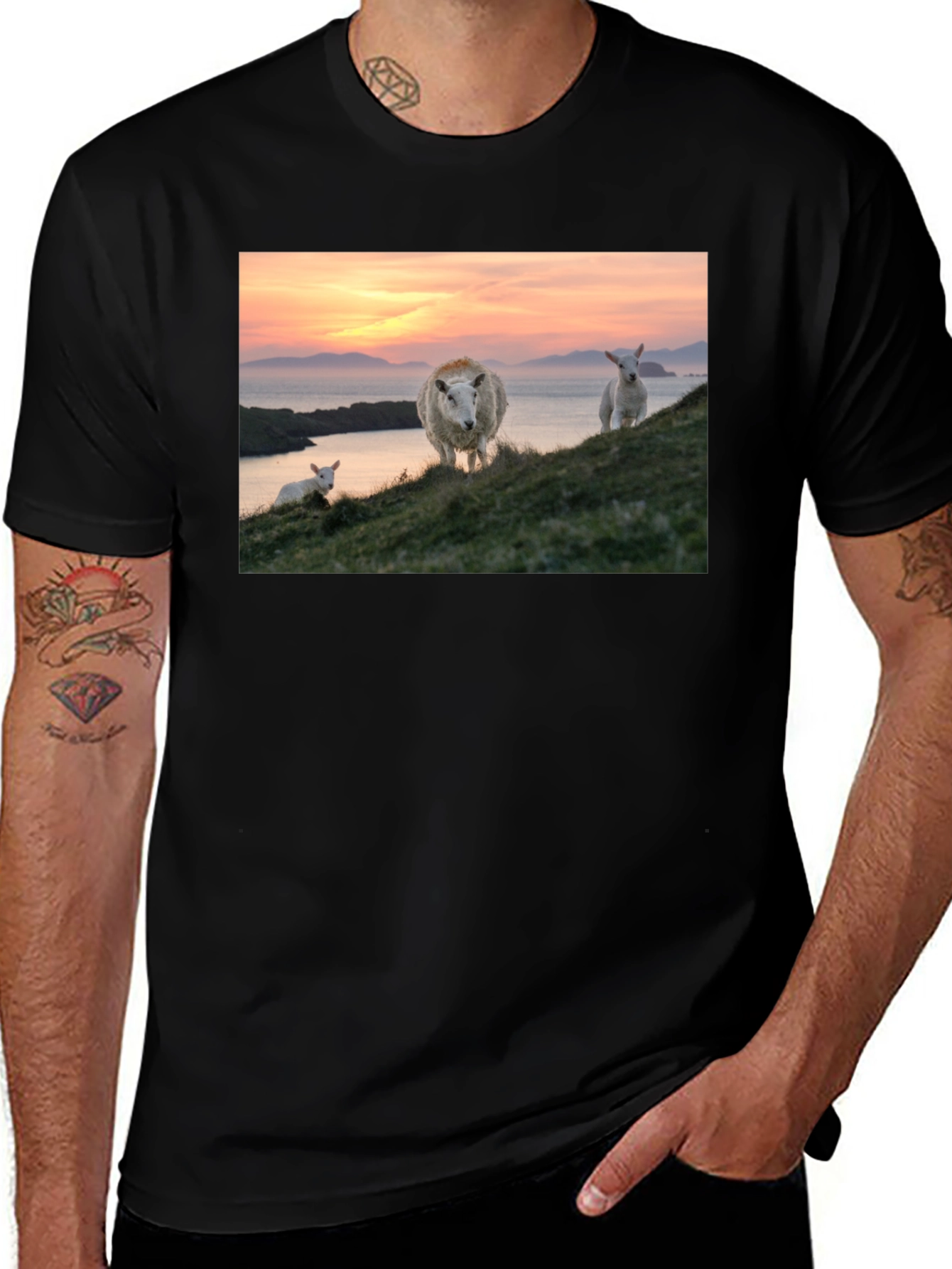 Variant 20 of Scenic Sheep Graphic Tee - Black Cotton Blend