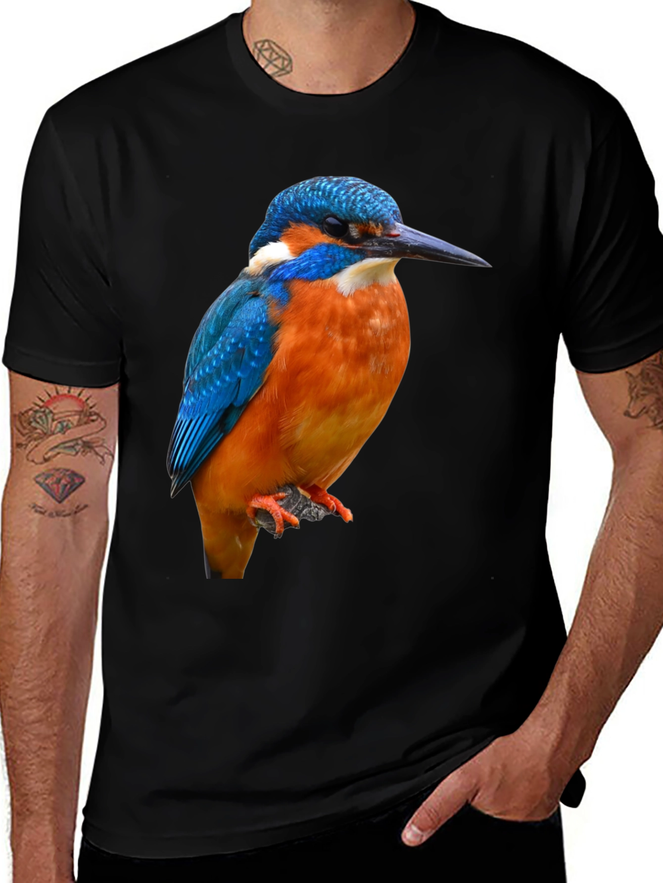 Variant 13 of Kingfisher Bird Graphic Print T-Shirt