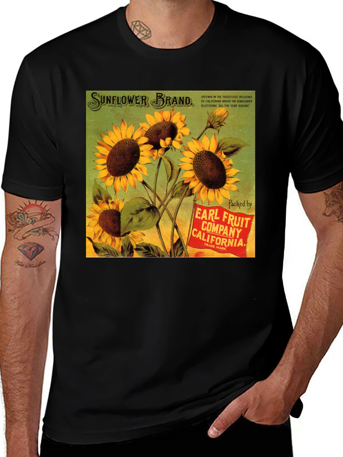 Variant 20 of Sunflower Brand Graphic T-Shirt