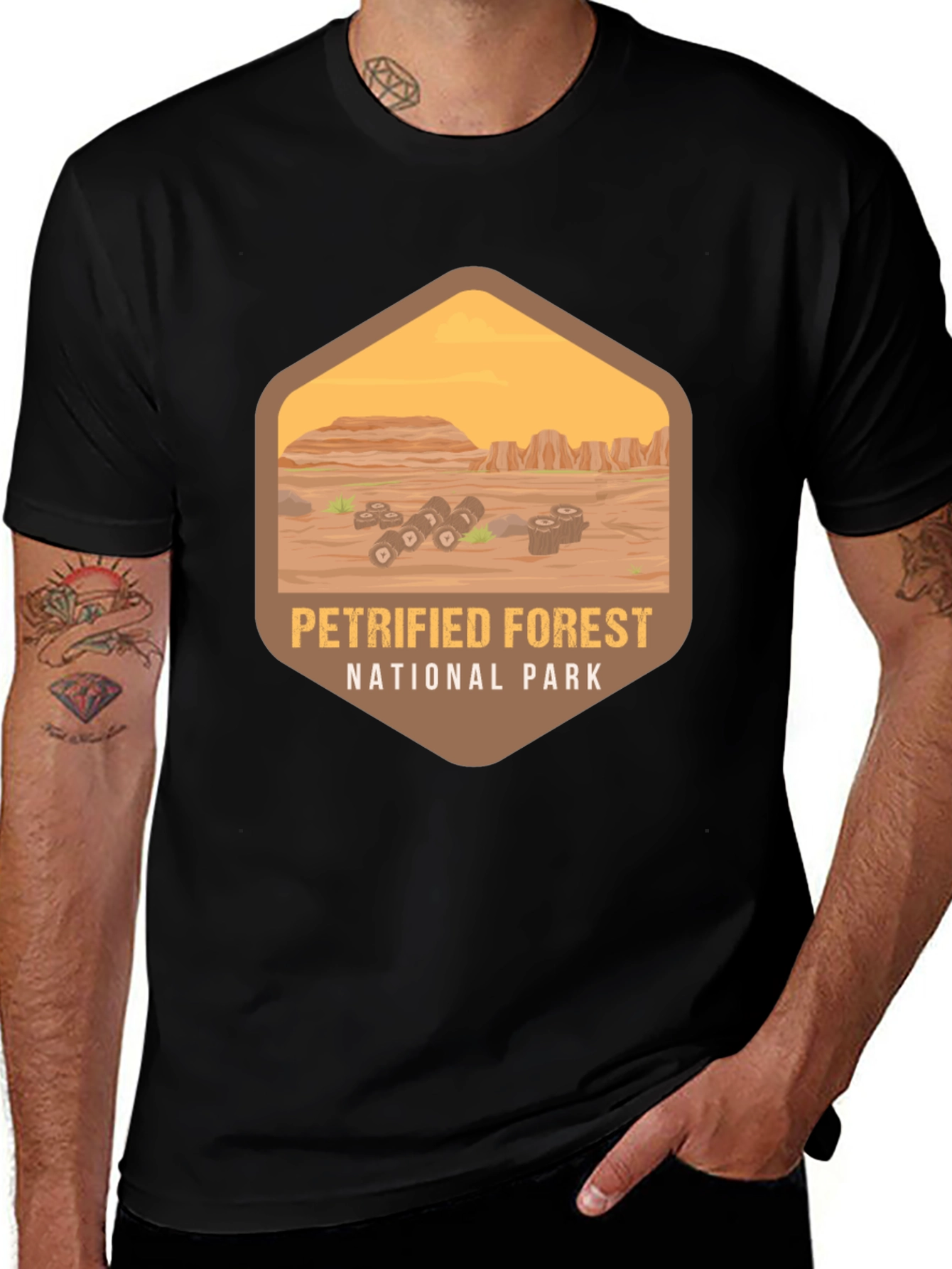 Variant 17 of Petrified Forest National Park Black Graphic T-Shirt