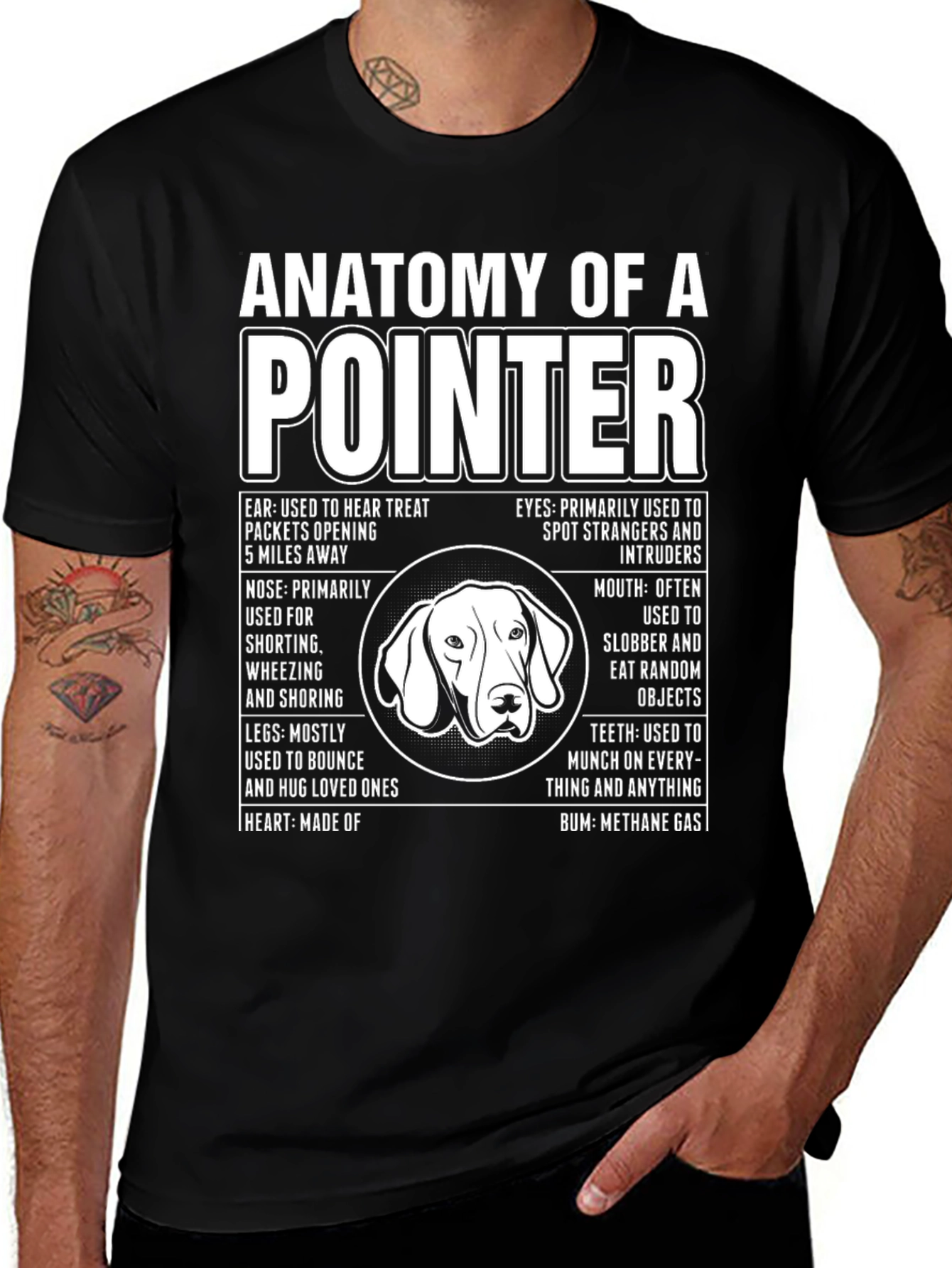 Variant 4 of Anatomy of a Pointer Dog T-Shirt