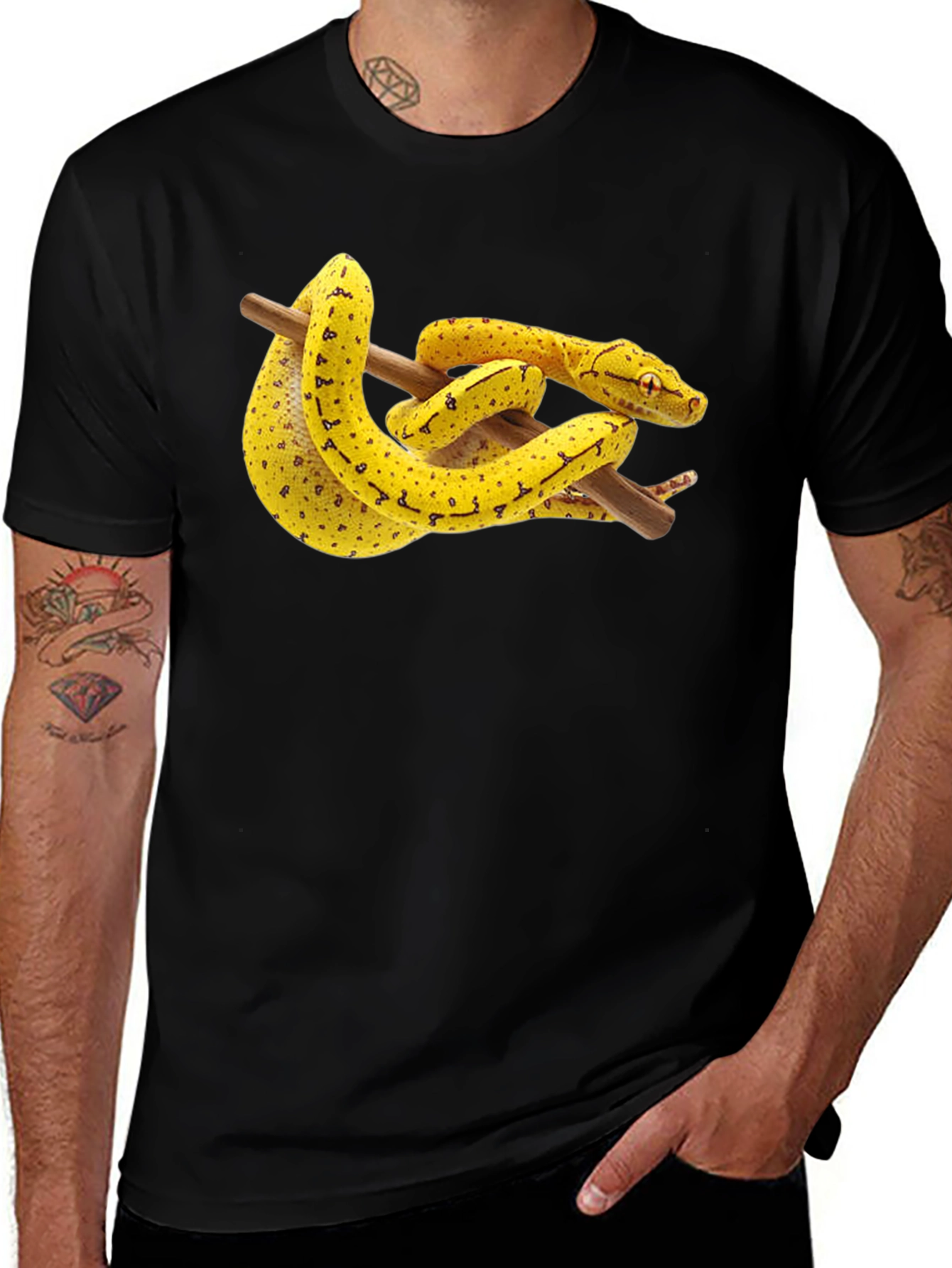 Variant 3 of Snake on Branch Graphic T-Shirt - Black