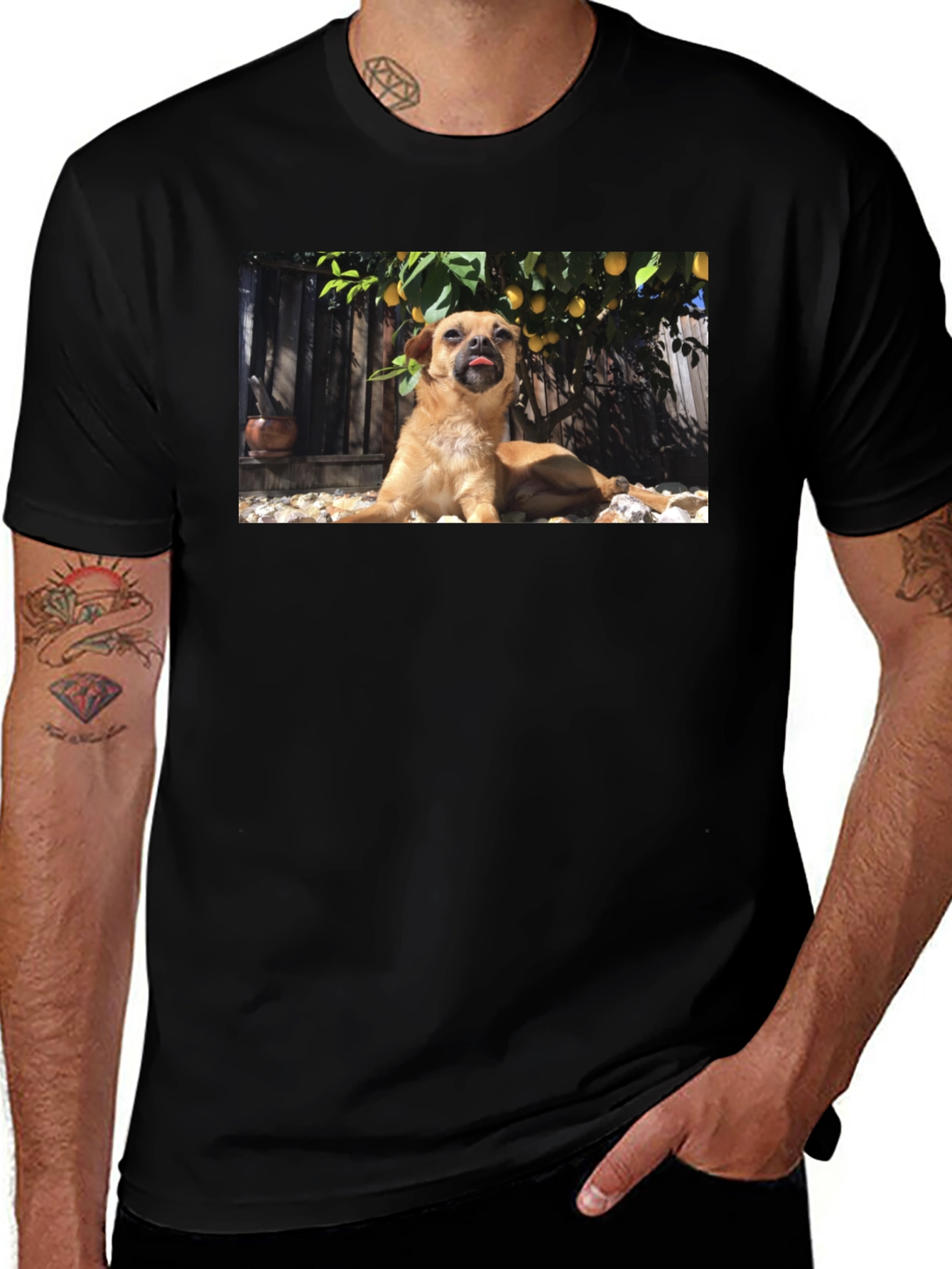 Variant 17 of Dog Lover T-Shirt - Brown Dog with Lemons