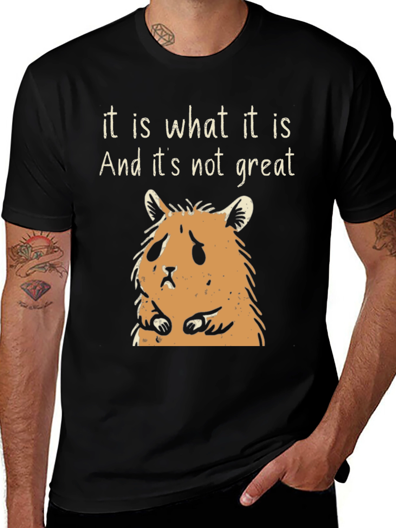 Variant 5 of Sad Hamster Graphic T-Shirt - "It is what it is"