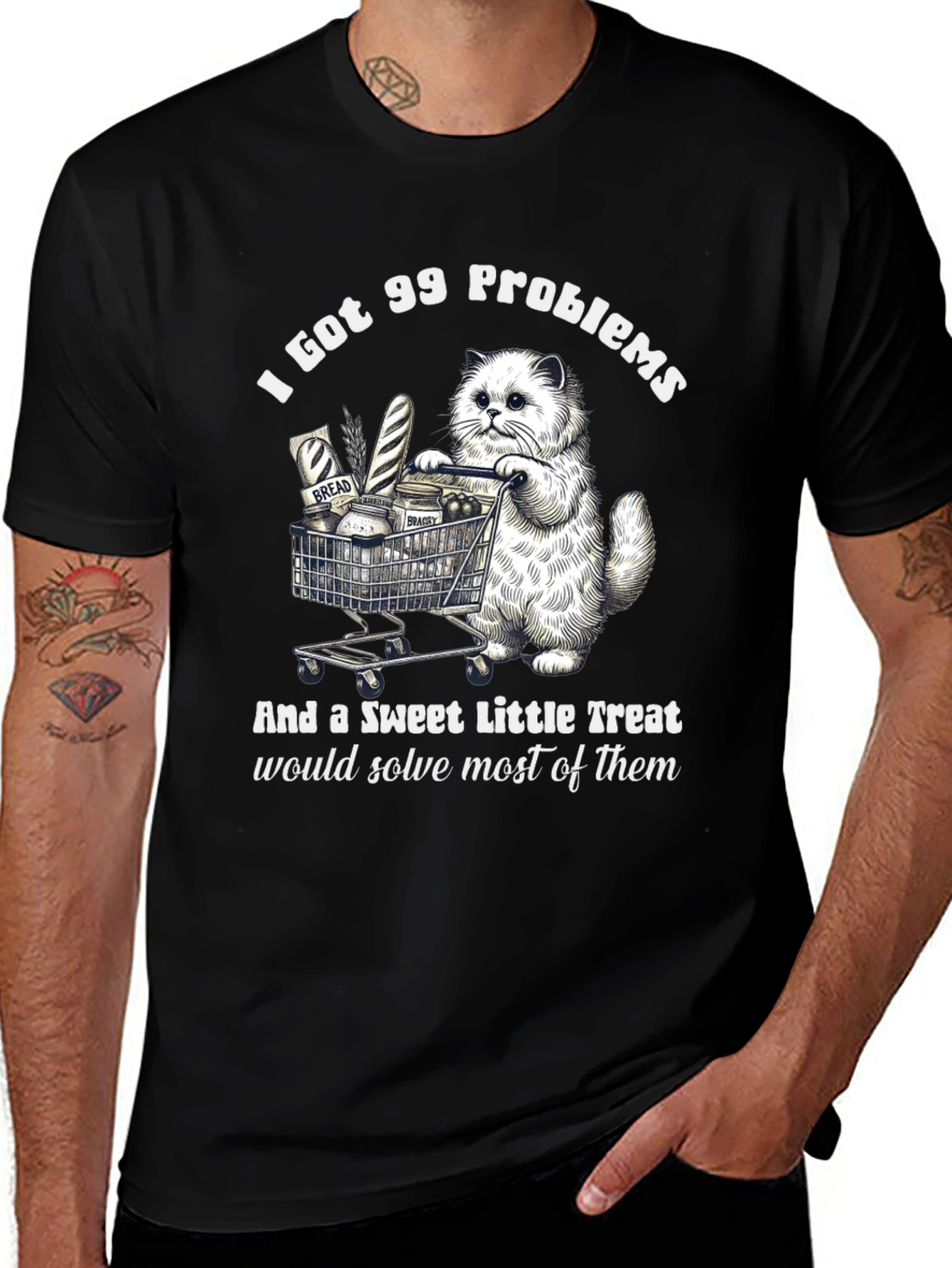 Variant 20 of I Got 99 Problems Cat T-Shirt