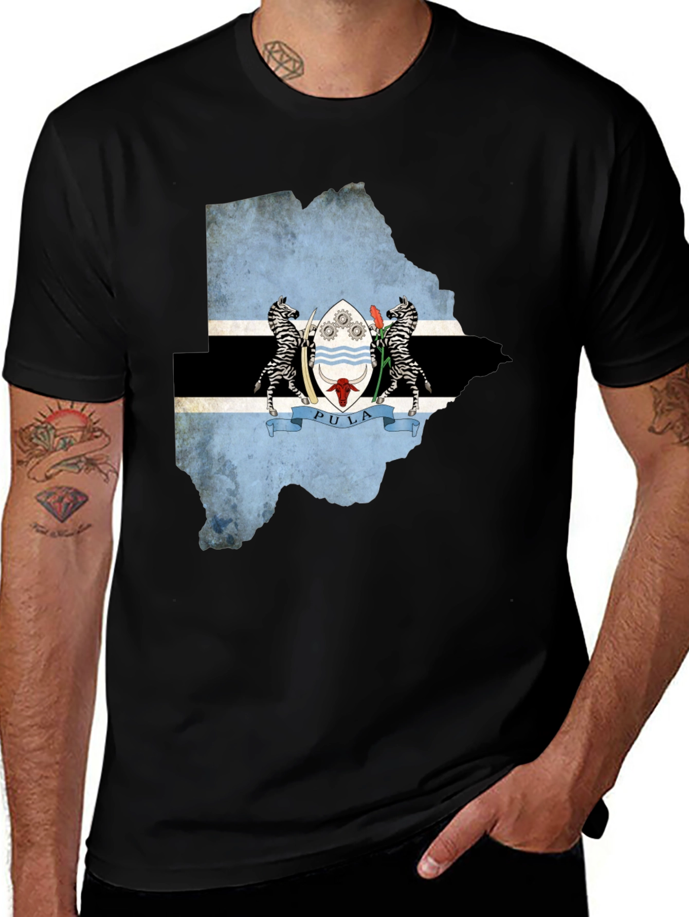 Variant 28 of Botswana Flag Map T-Shirt