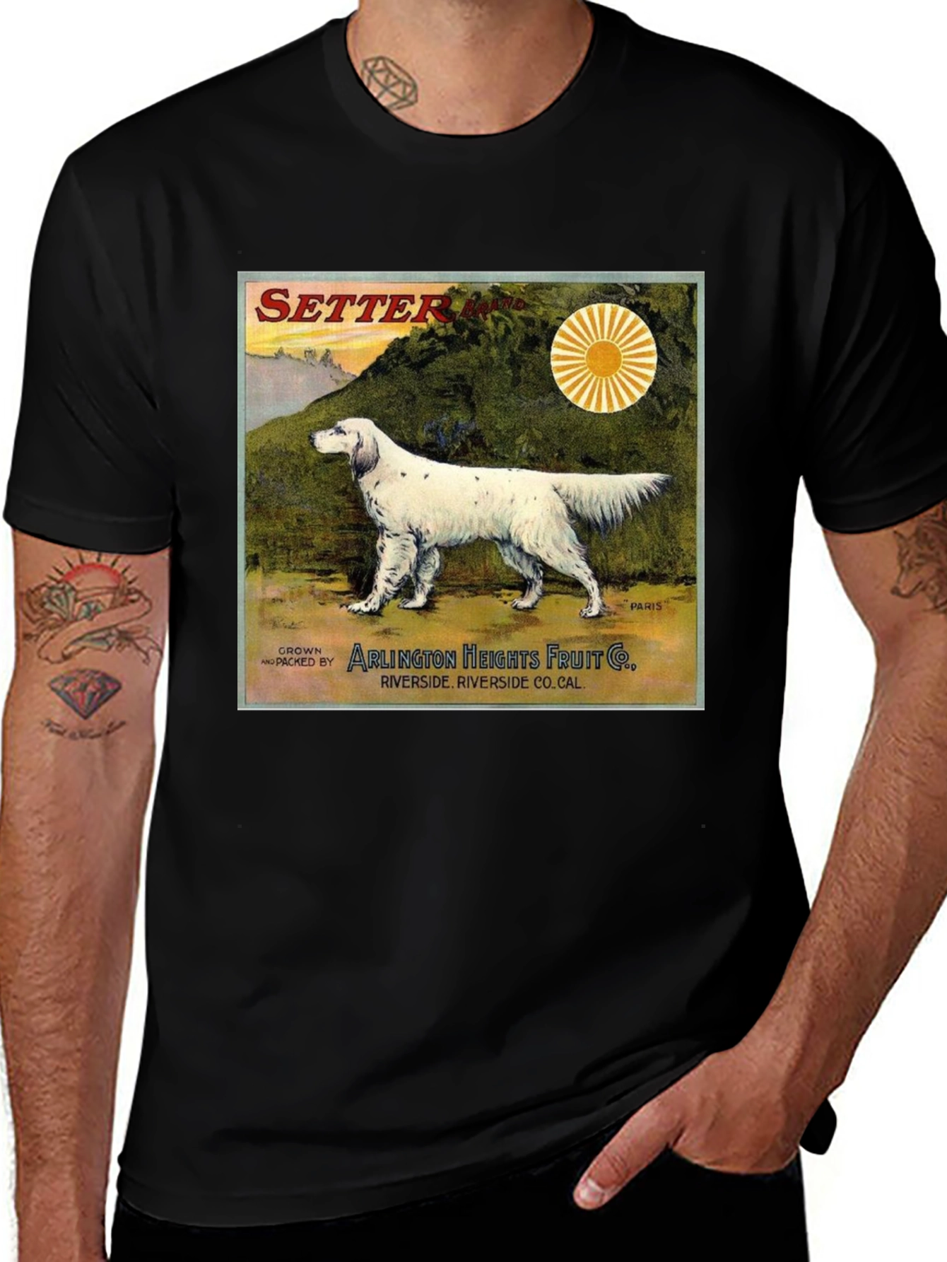 Variant 8 of Vintage Setter Dog T-Shirt