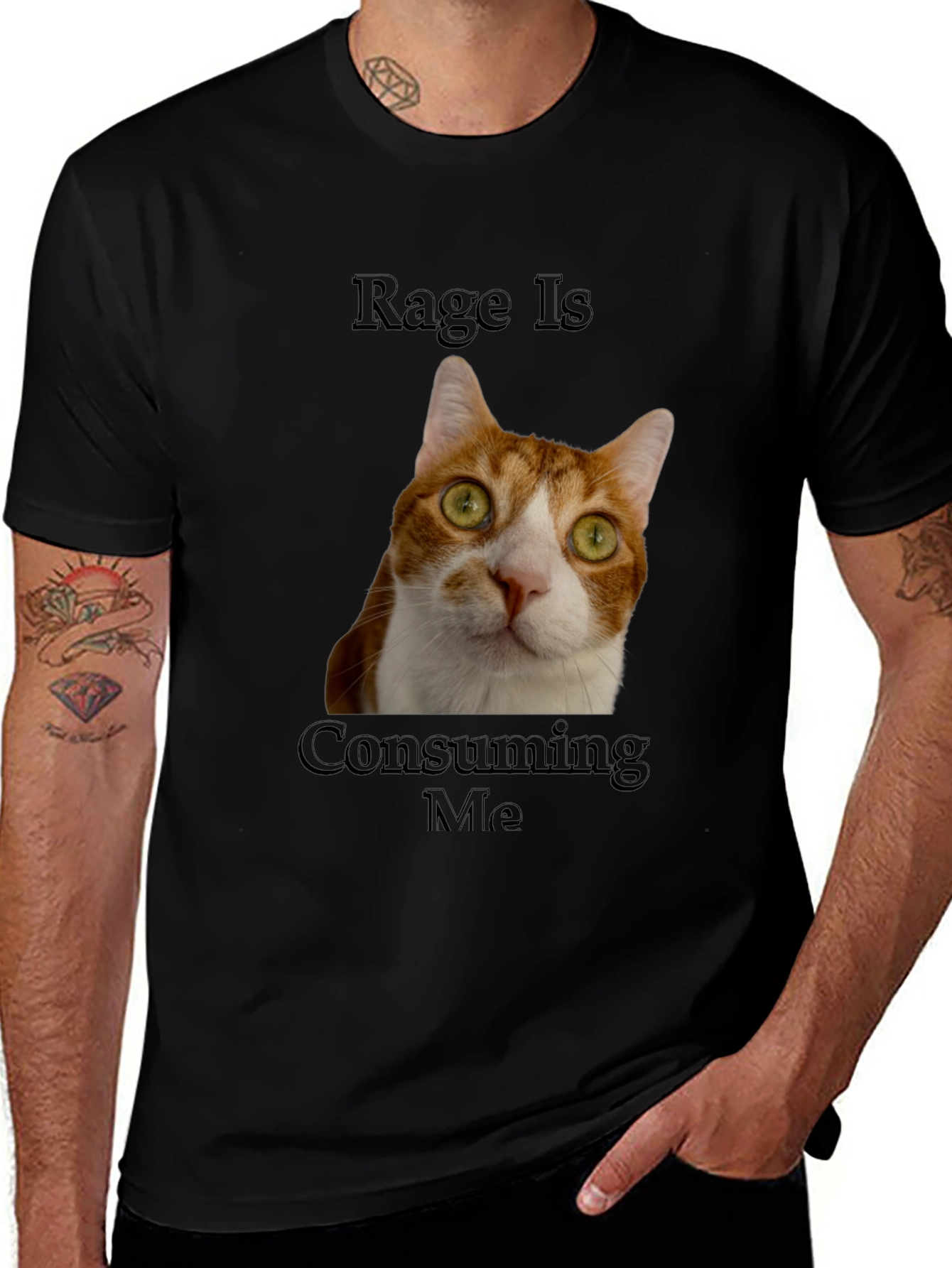 Variant 14 of Rage Is Consuming Me Cat T-Shirt - Funny Graphic Tee