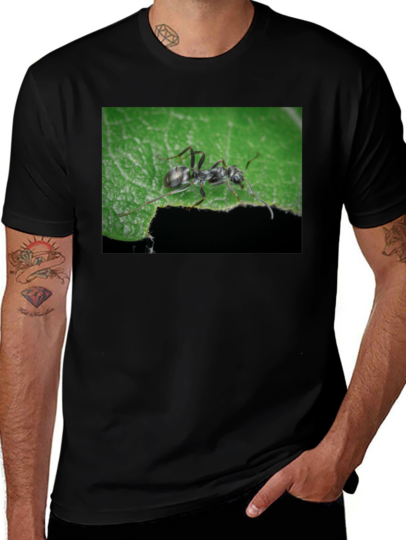 Variant 7 of Ant on Leaf Graphic Tee - Nature Lover's T-Shirt