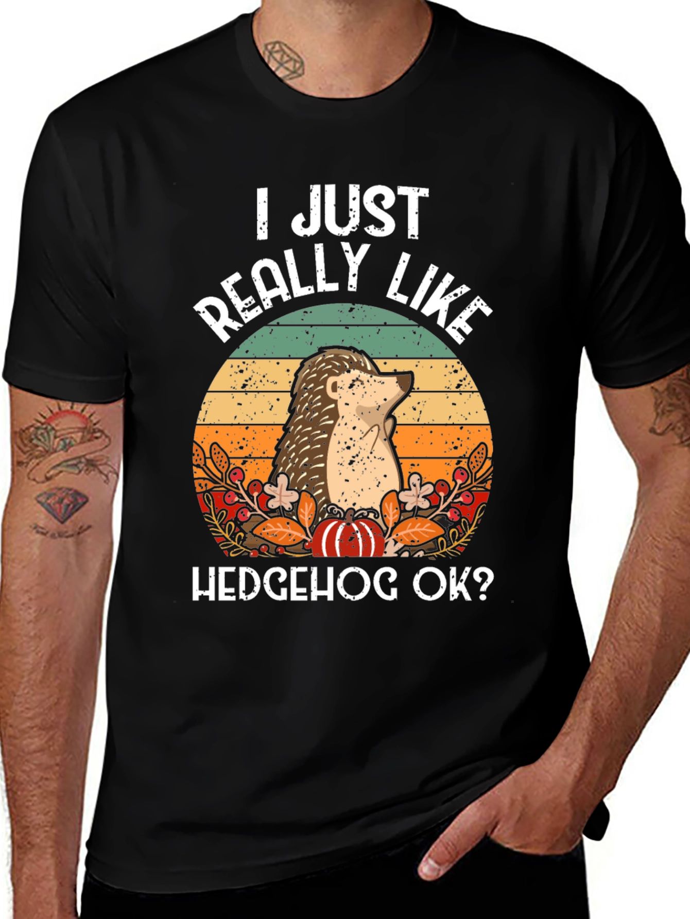 Variant 15 of Hedgehog Graphic Tee - "I Just Really Like Hedgehog Ok?"