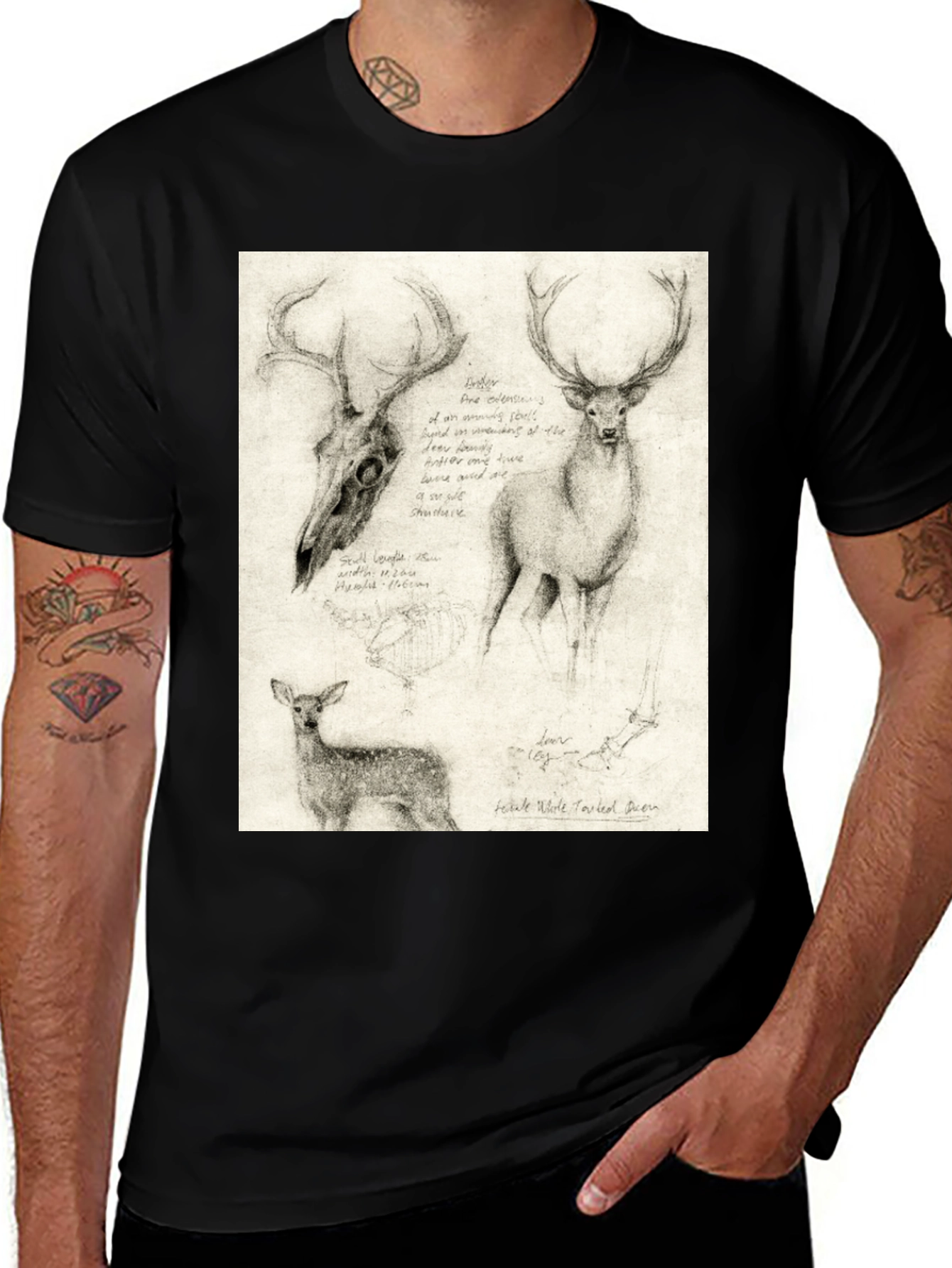 Variant 22 of Deer Sketch T-Shirt | Wildlife Illustration Tee